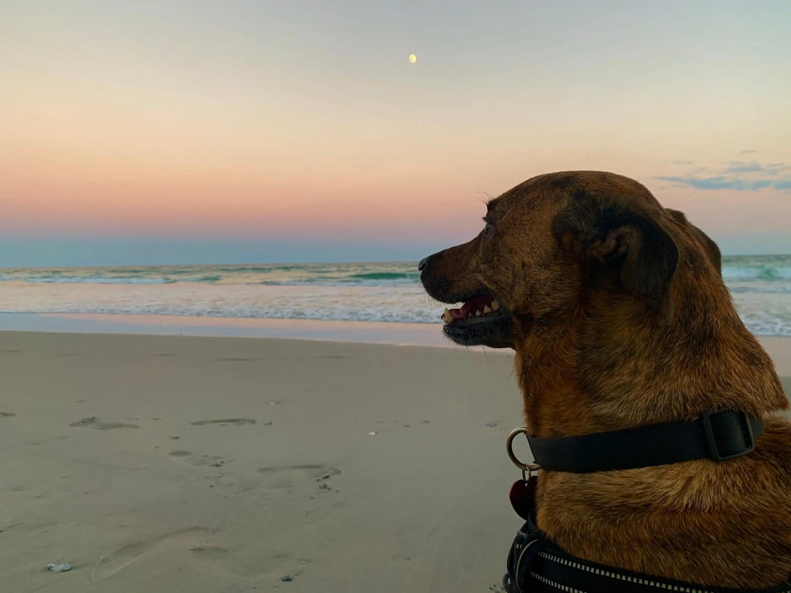 Beach in Sea Vista Motel