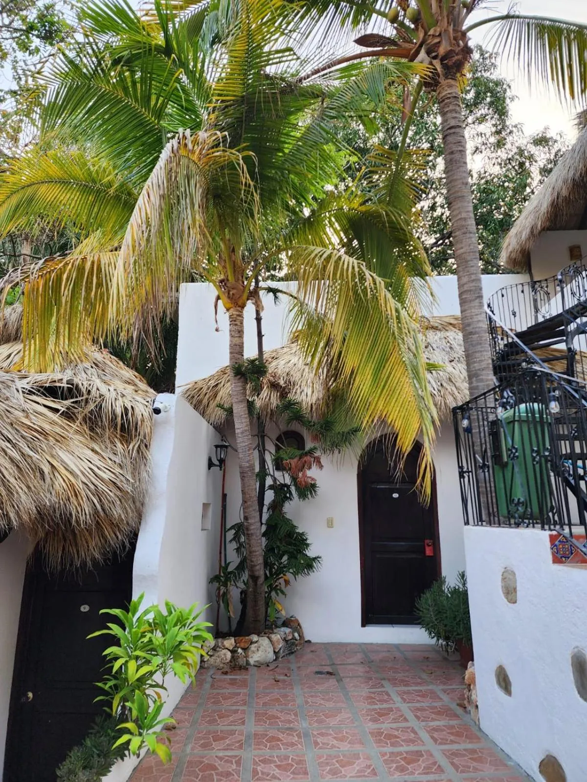 Off site in Esencia Puerto Escondido