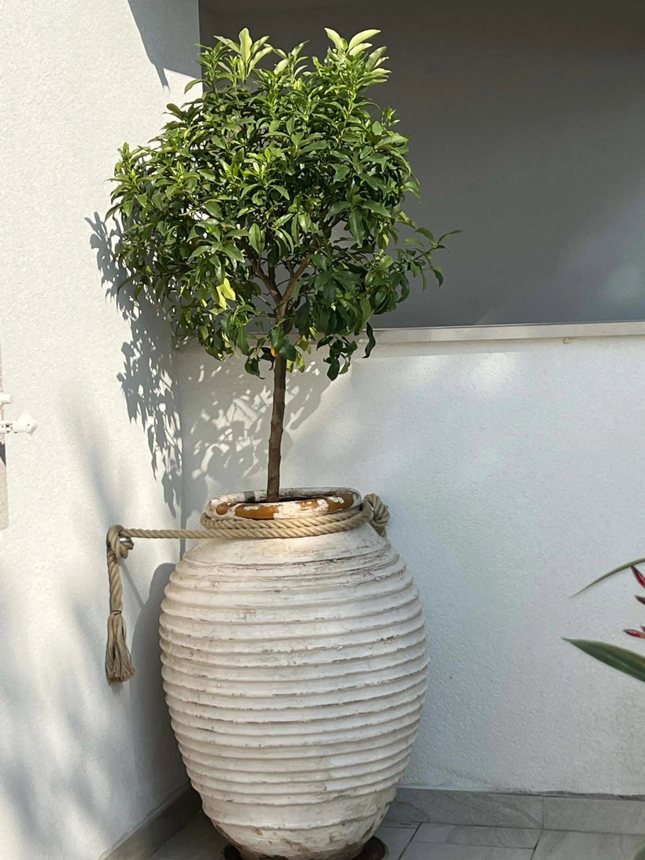 Property building in Apartments Domani