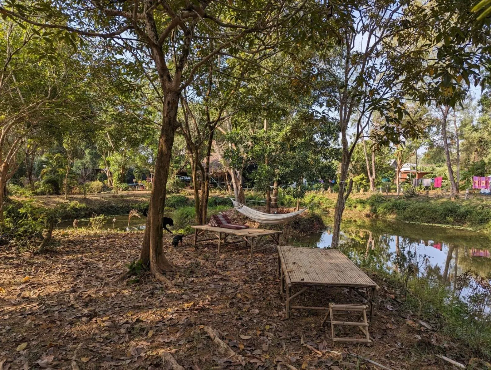 Garden view in The River Retreat Koh Mak