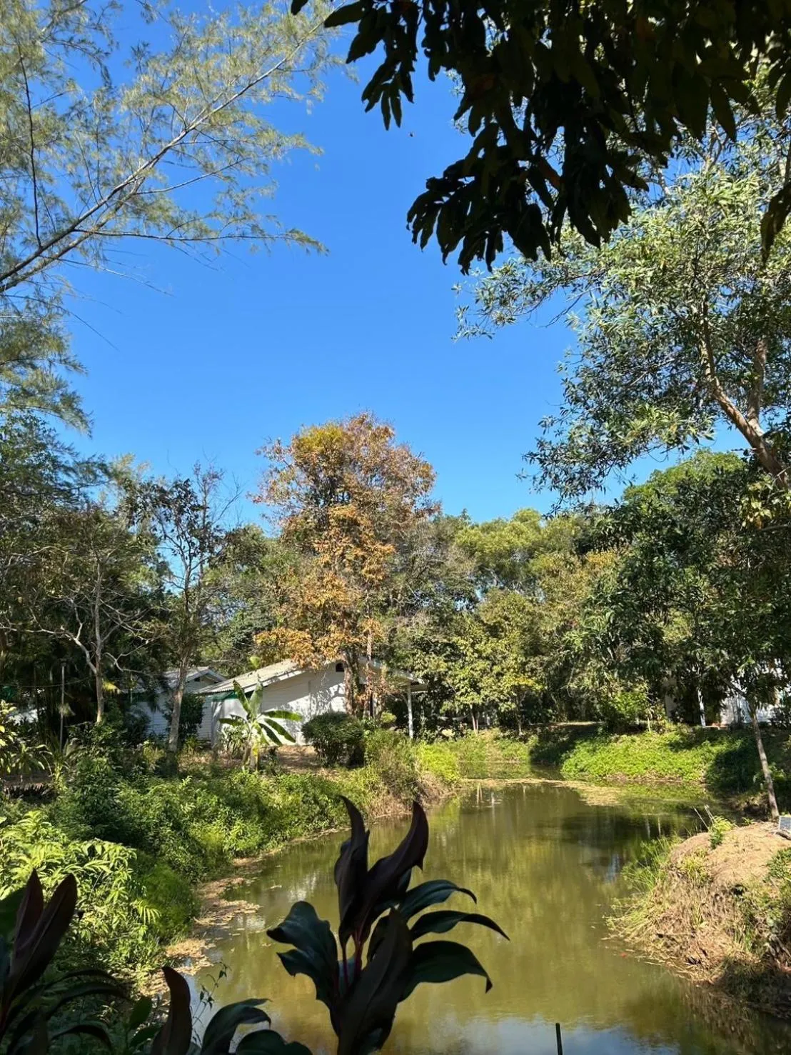 Garden view in The River Retreat Koh Mak