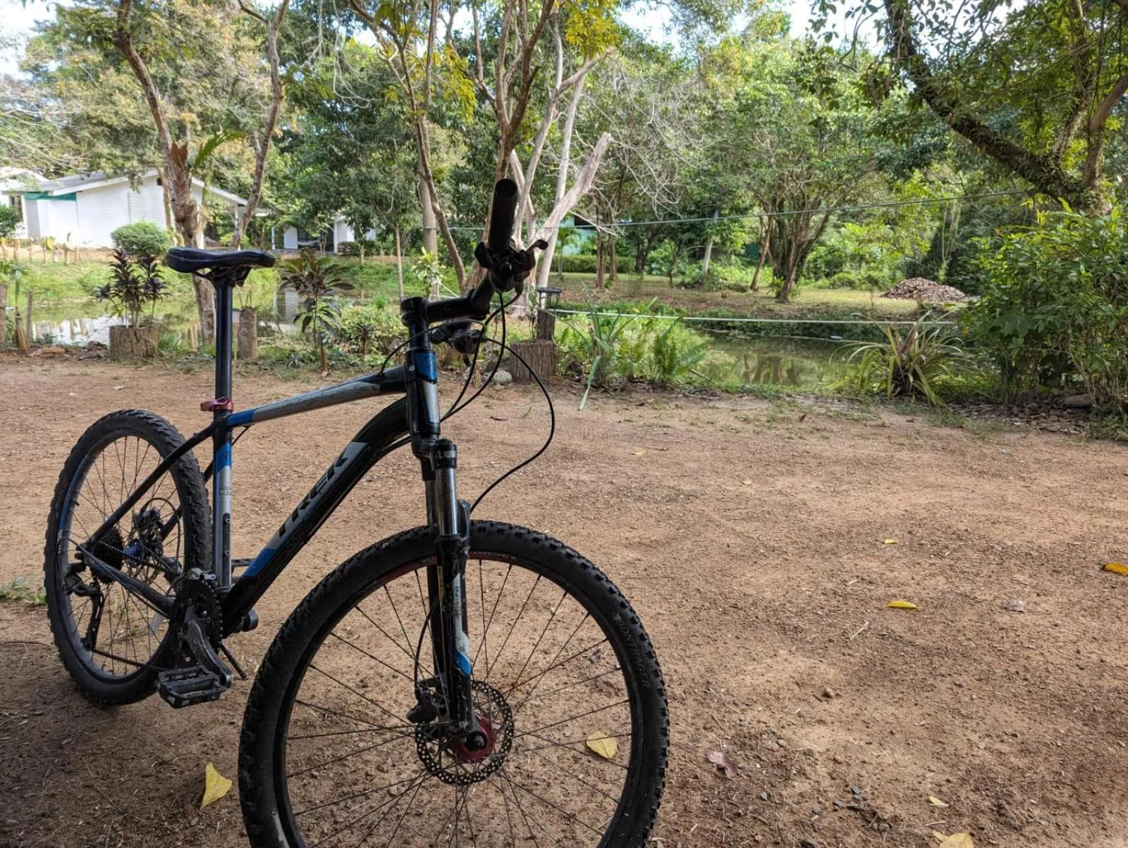 Garden in The River Retreat Koh Mak