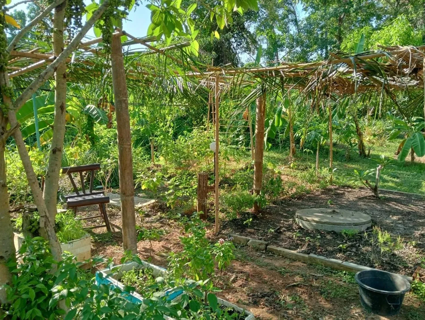 Garden in The River Retreat Koh Mak