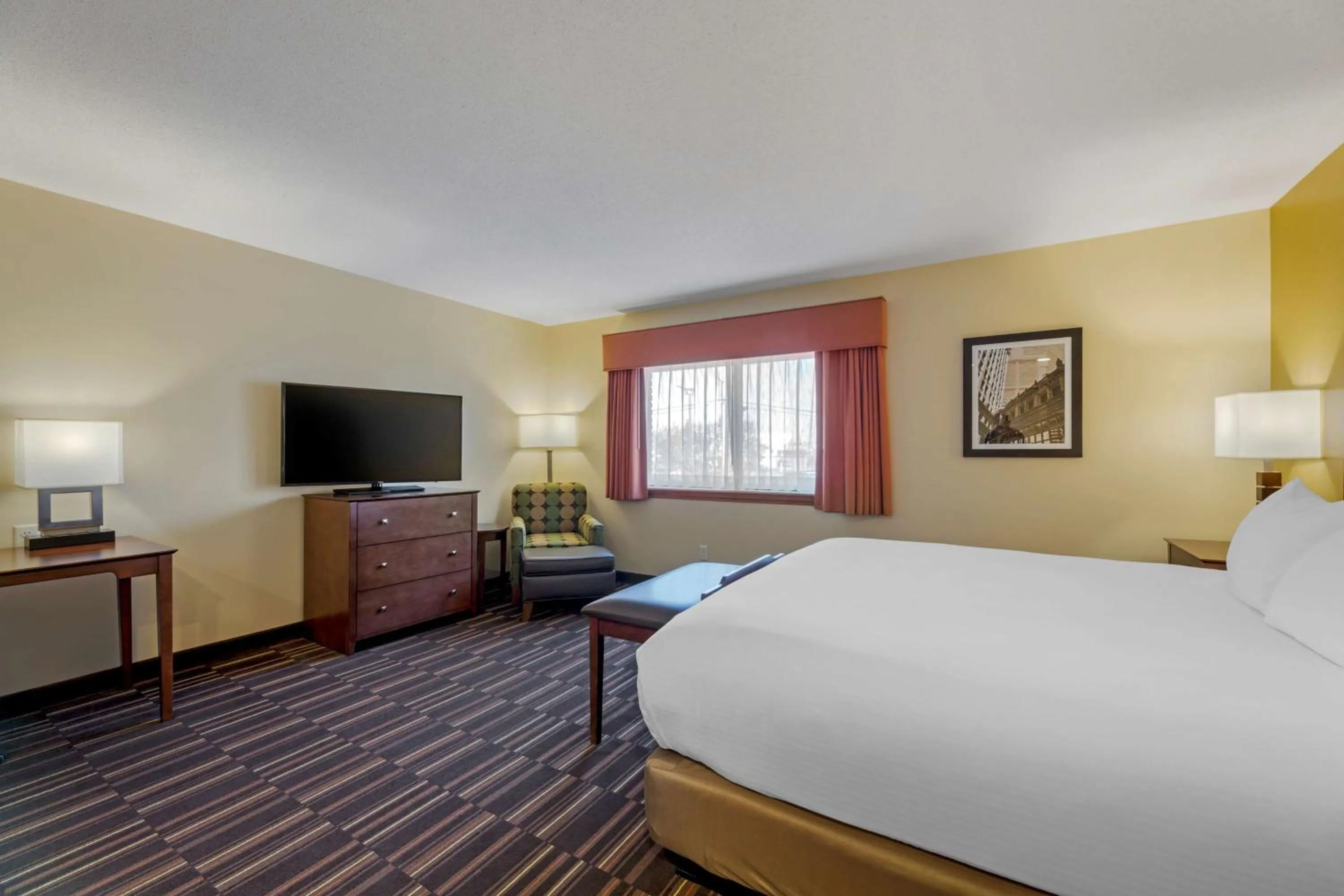 Photo of the whole room, Bed in Best Western Falcon Plaza - Bowling Green