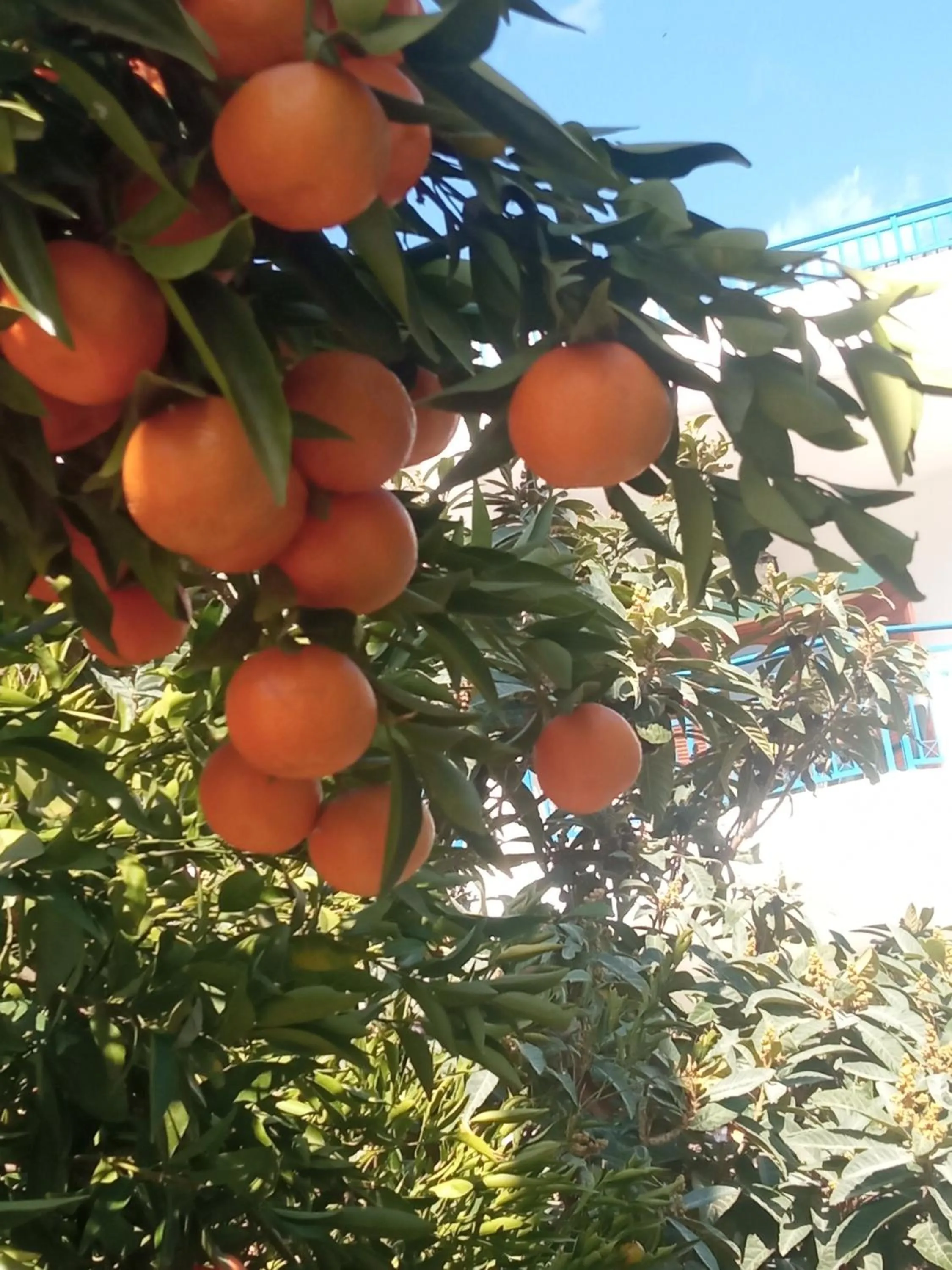 George Studios Stalis