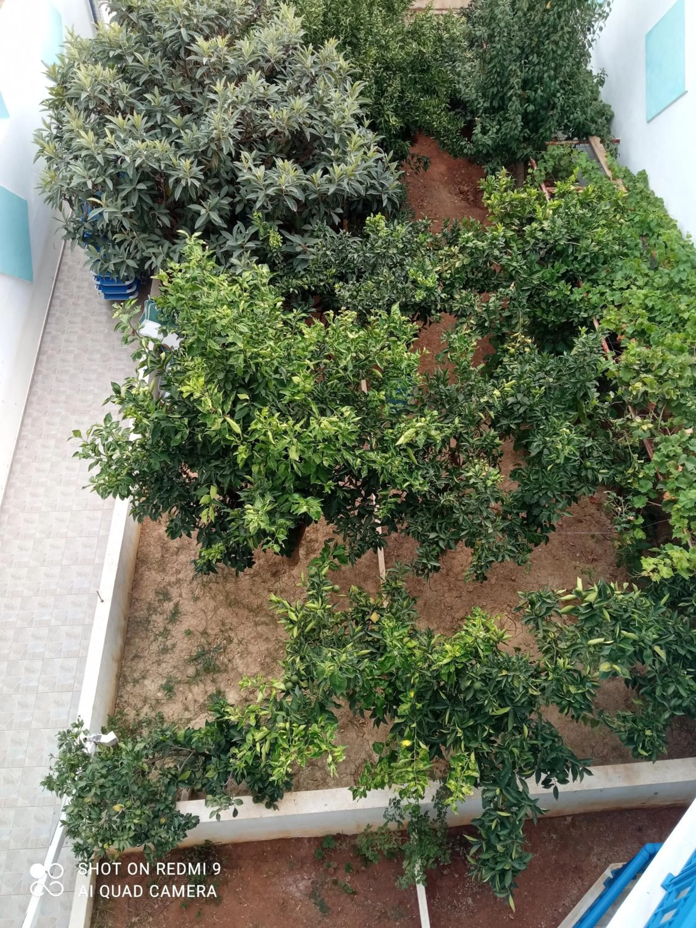 George Studios Stalis