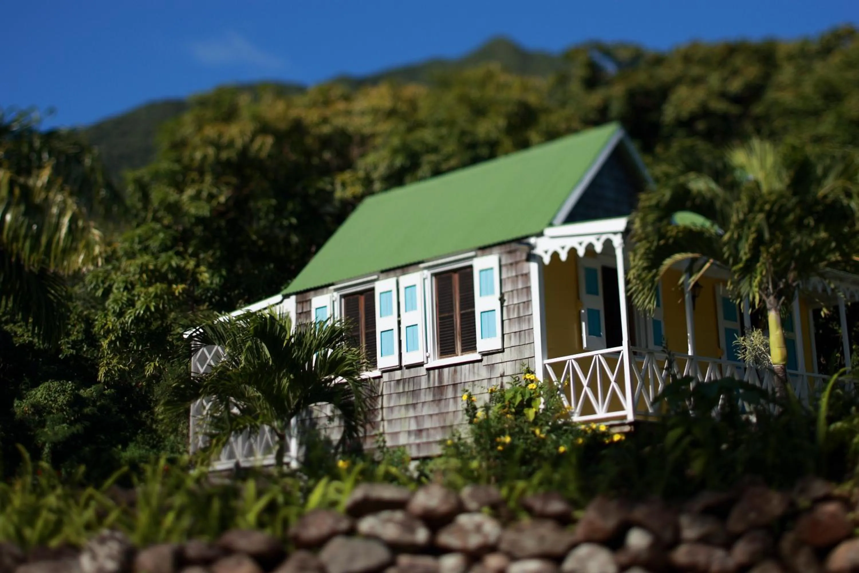 Natural landscape in Hermitage Nevis