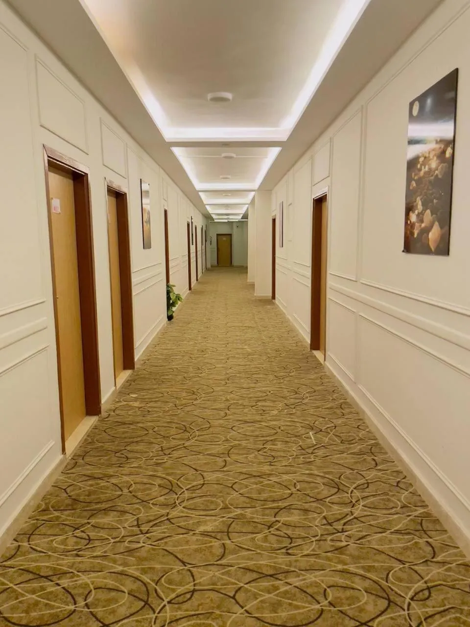 Nile jewel hotel beni suef