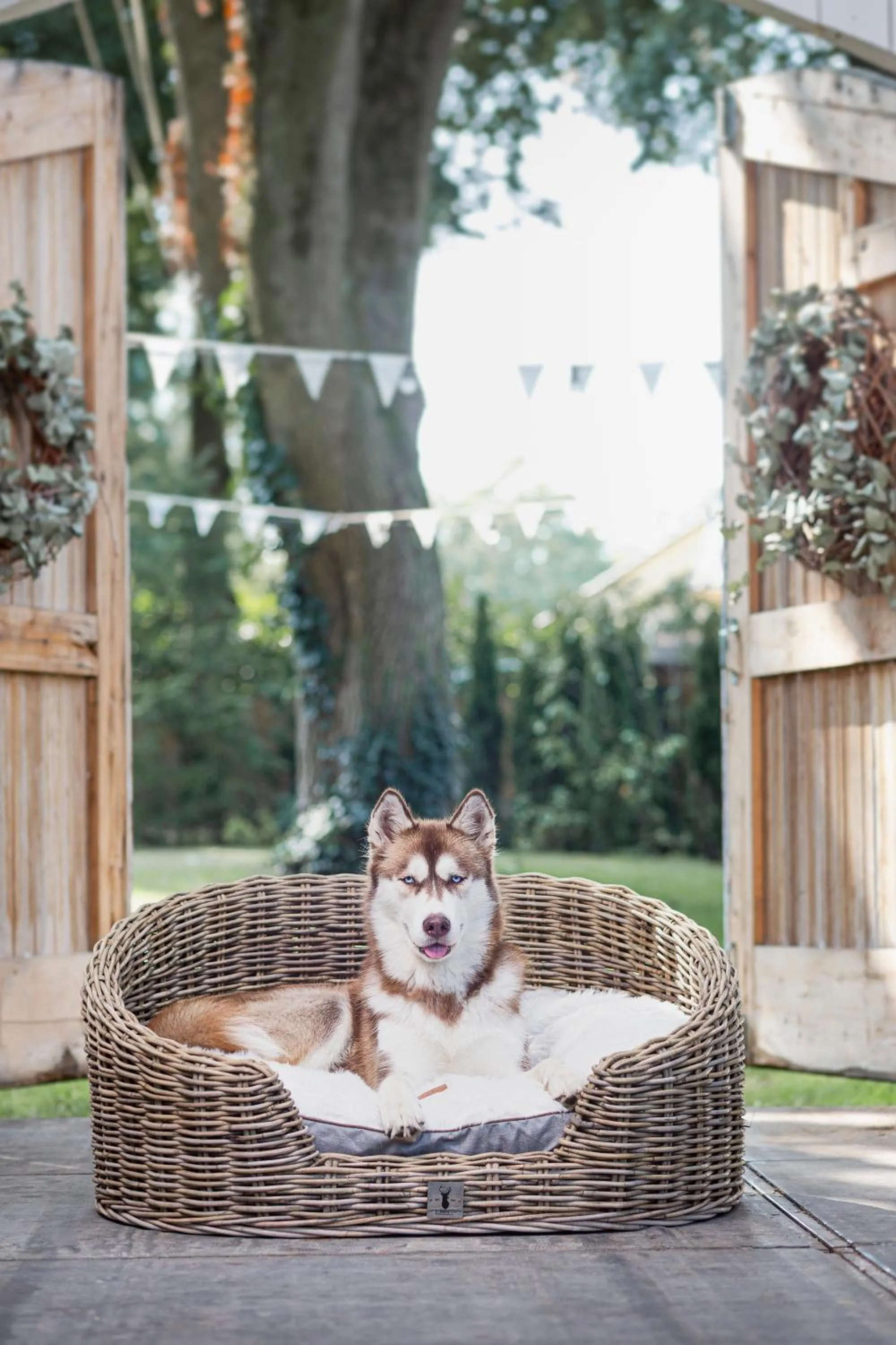 Pets in Parkhotel Hugo de Vries