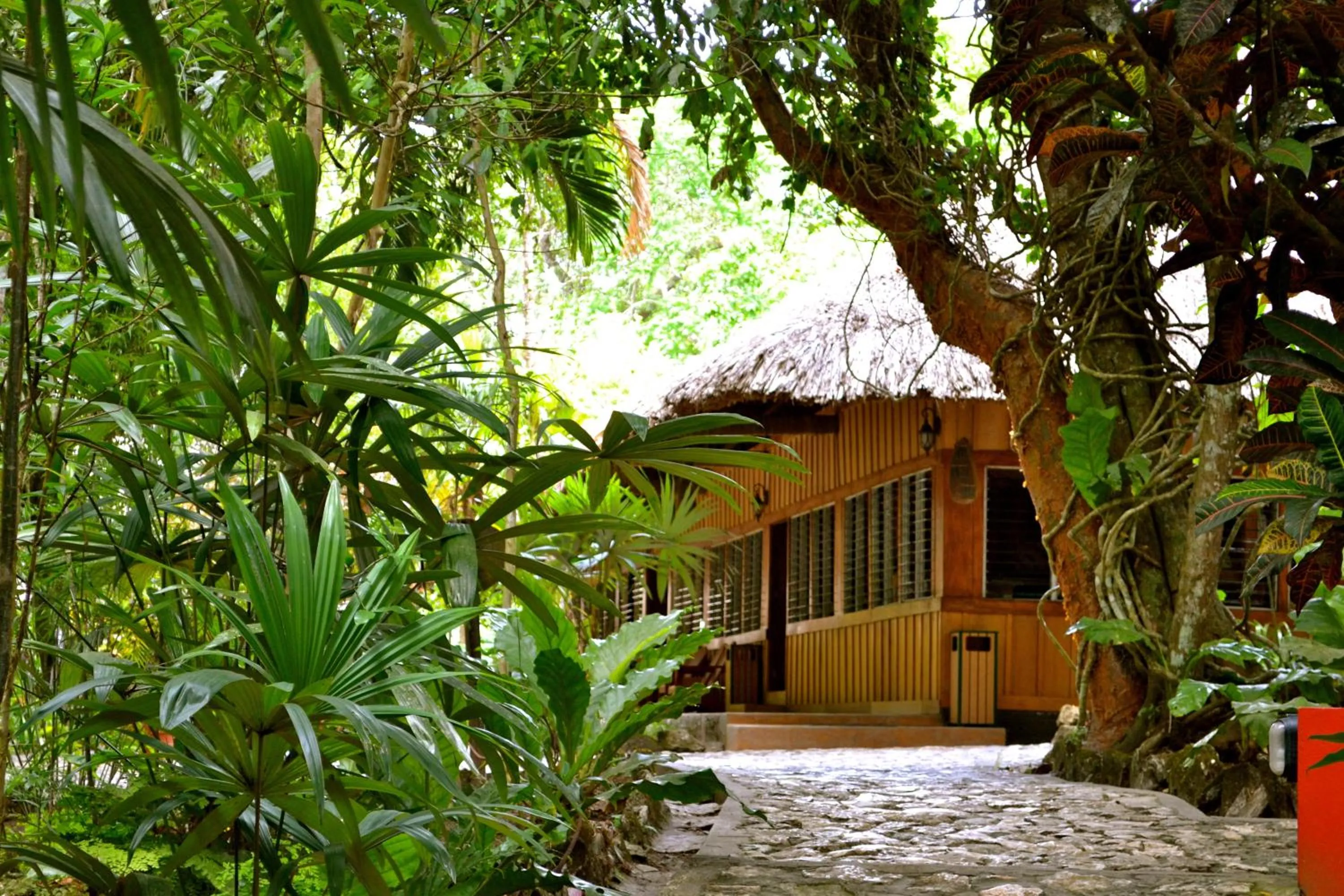 Property building in Hotel Jungle Lodge Tikal