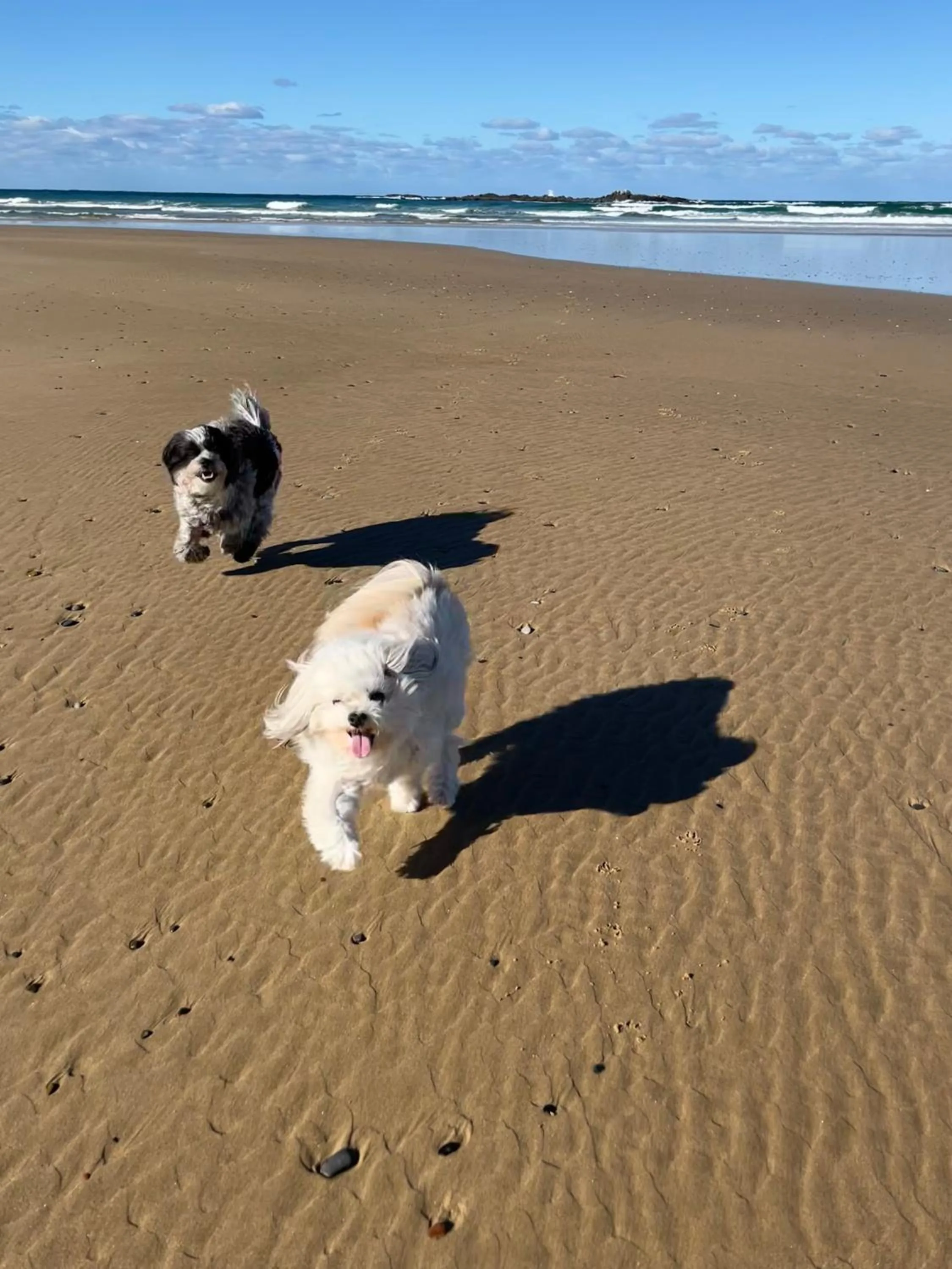 Safety Beach Bungalows