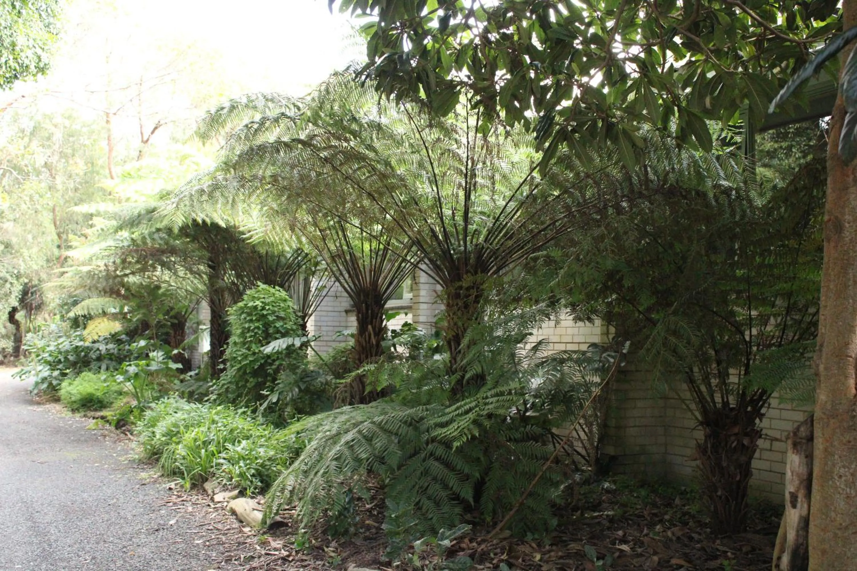Garden view in Prom Country Lodge