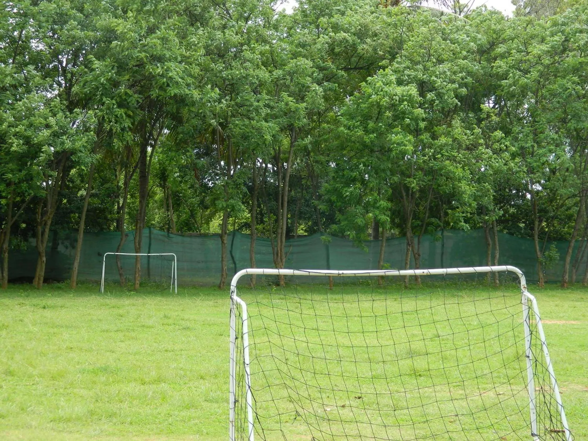 Sports in Fantasy Golf Resort