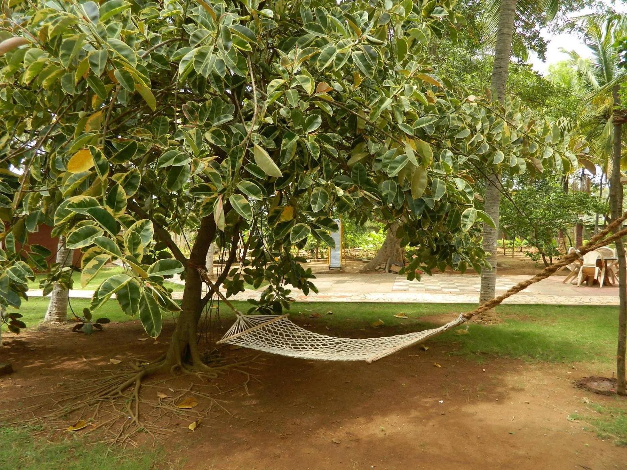 Day in Fantasy Golf Resort