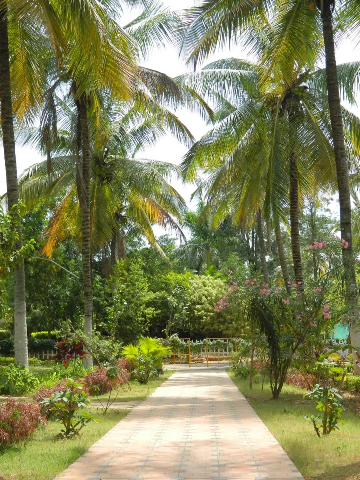 Garden in Fantasy Golf Resort