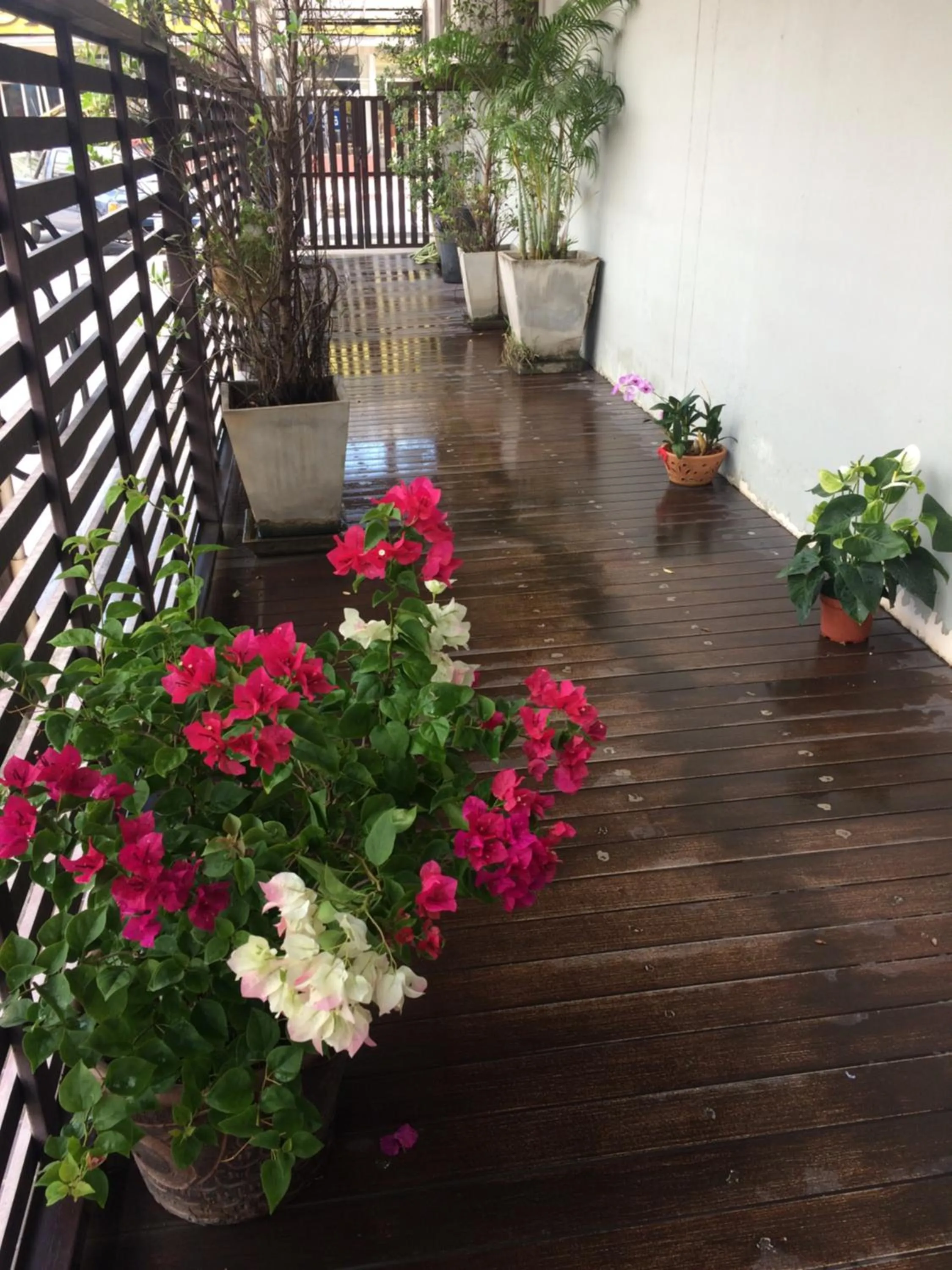 Facade/entrance in My Living Place Samui