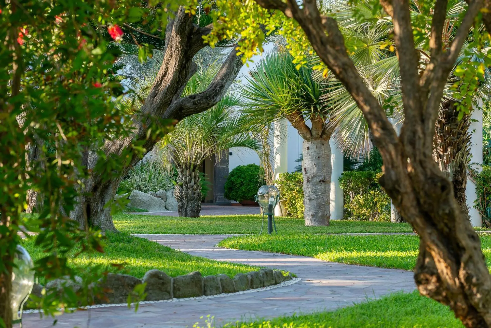 Garden in Hotel Terme Tritone Resort & Spa