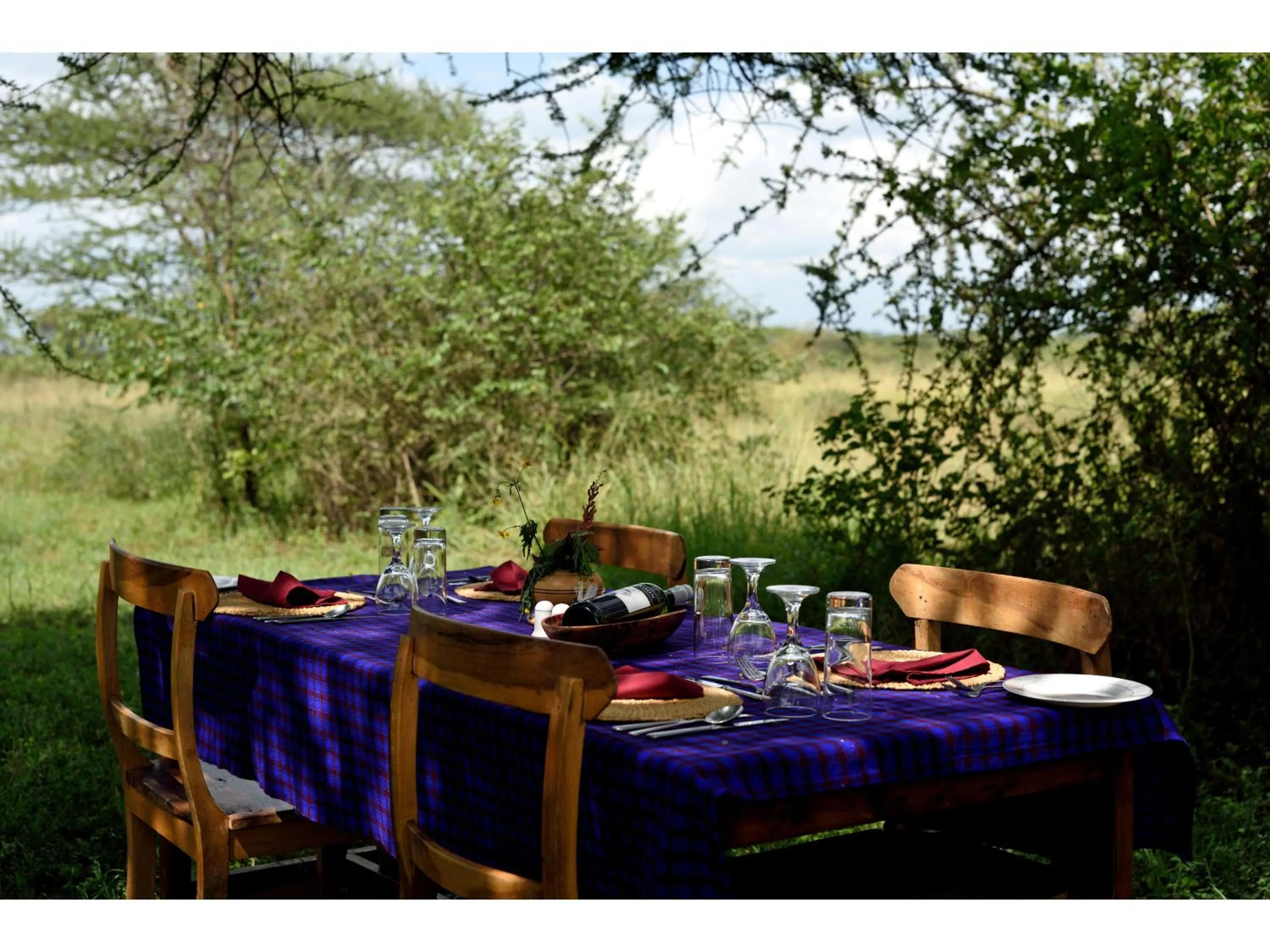 Day in Ikoma Bush Camp