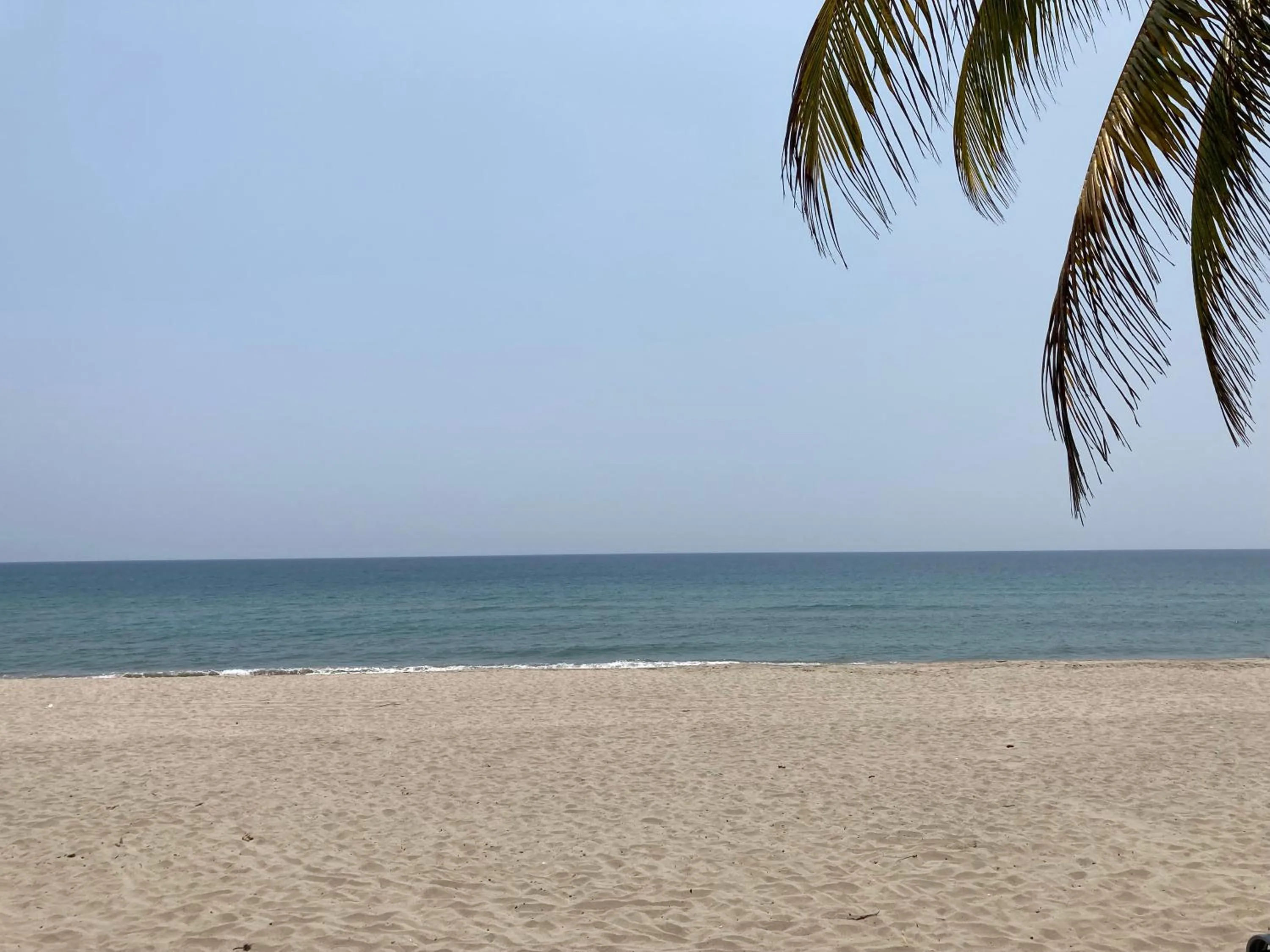 Honduras Shores Plantations