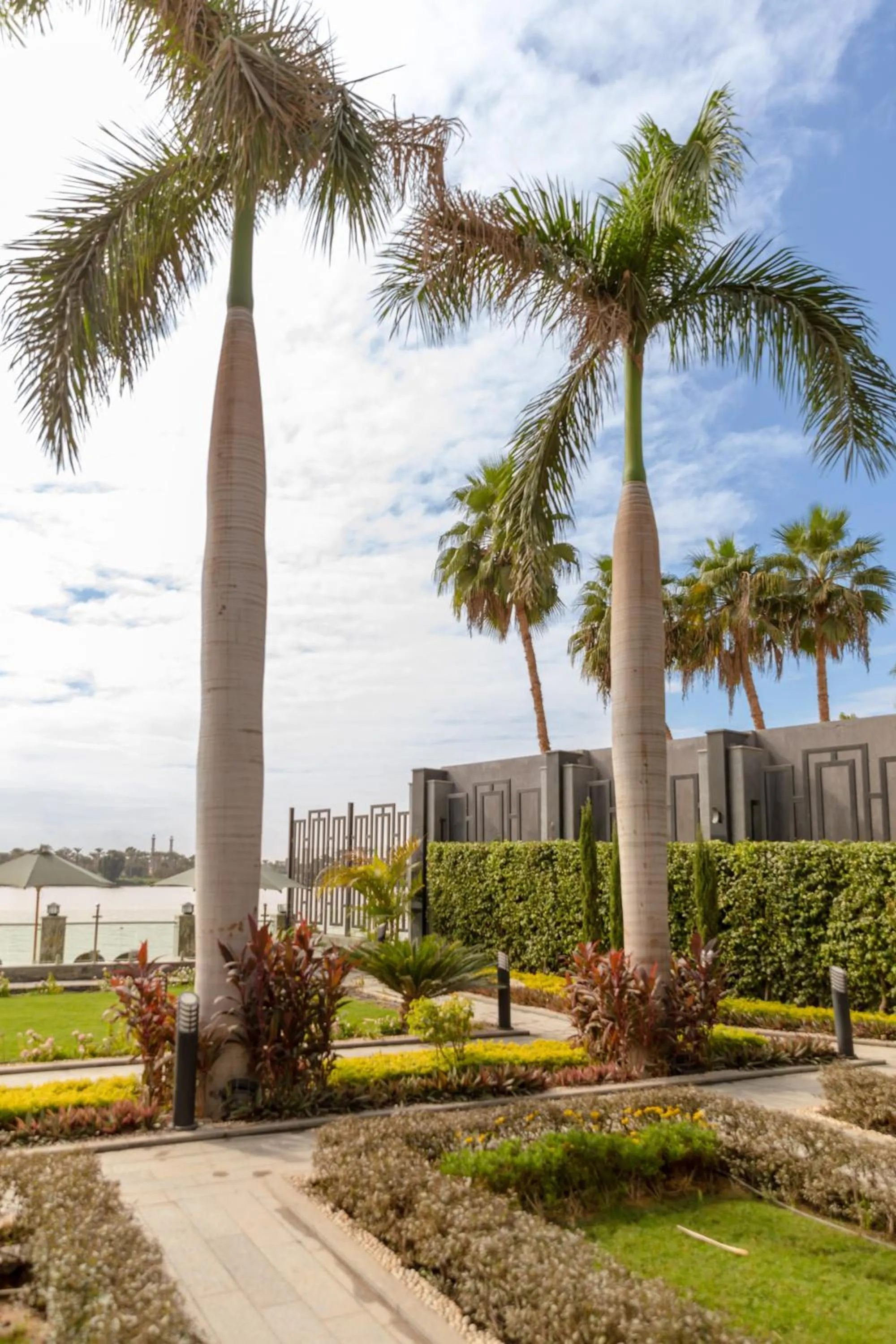 Garden in Nile Club hotel