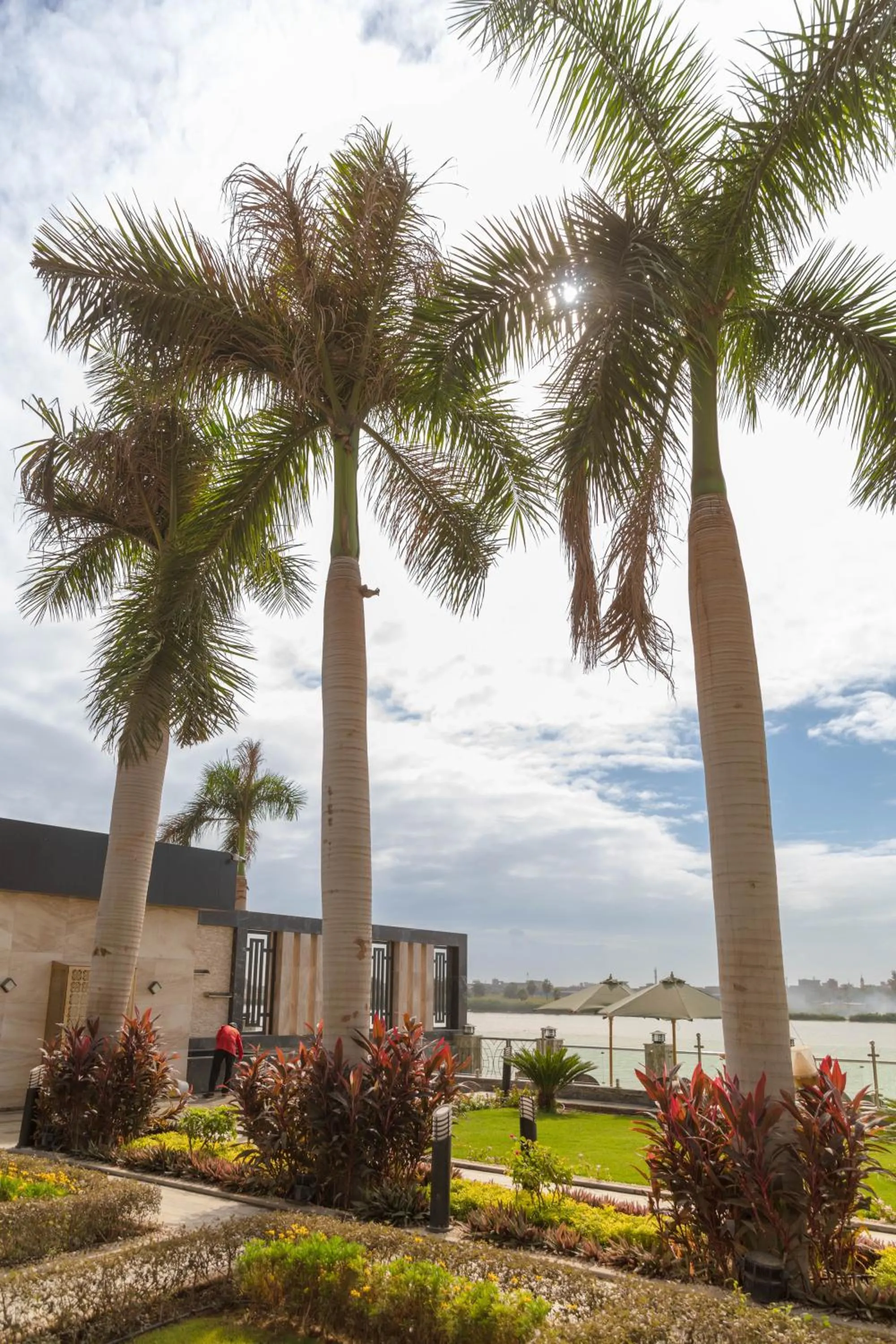 Natural landscape in Nile Club hotel