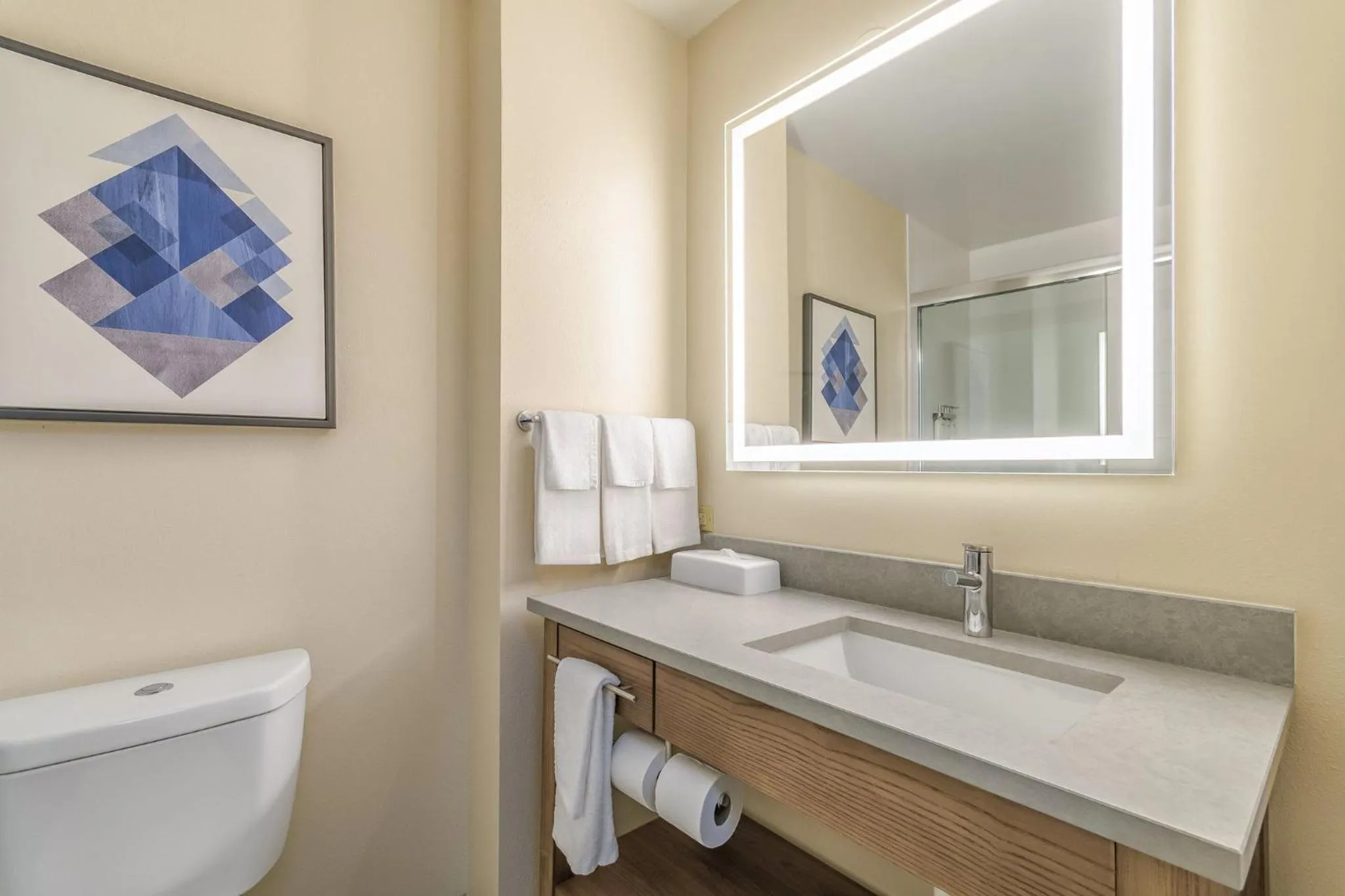Bathroom in Candlewood Suites Southfield - Detroit by IHG