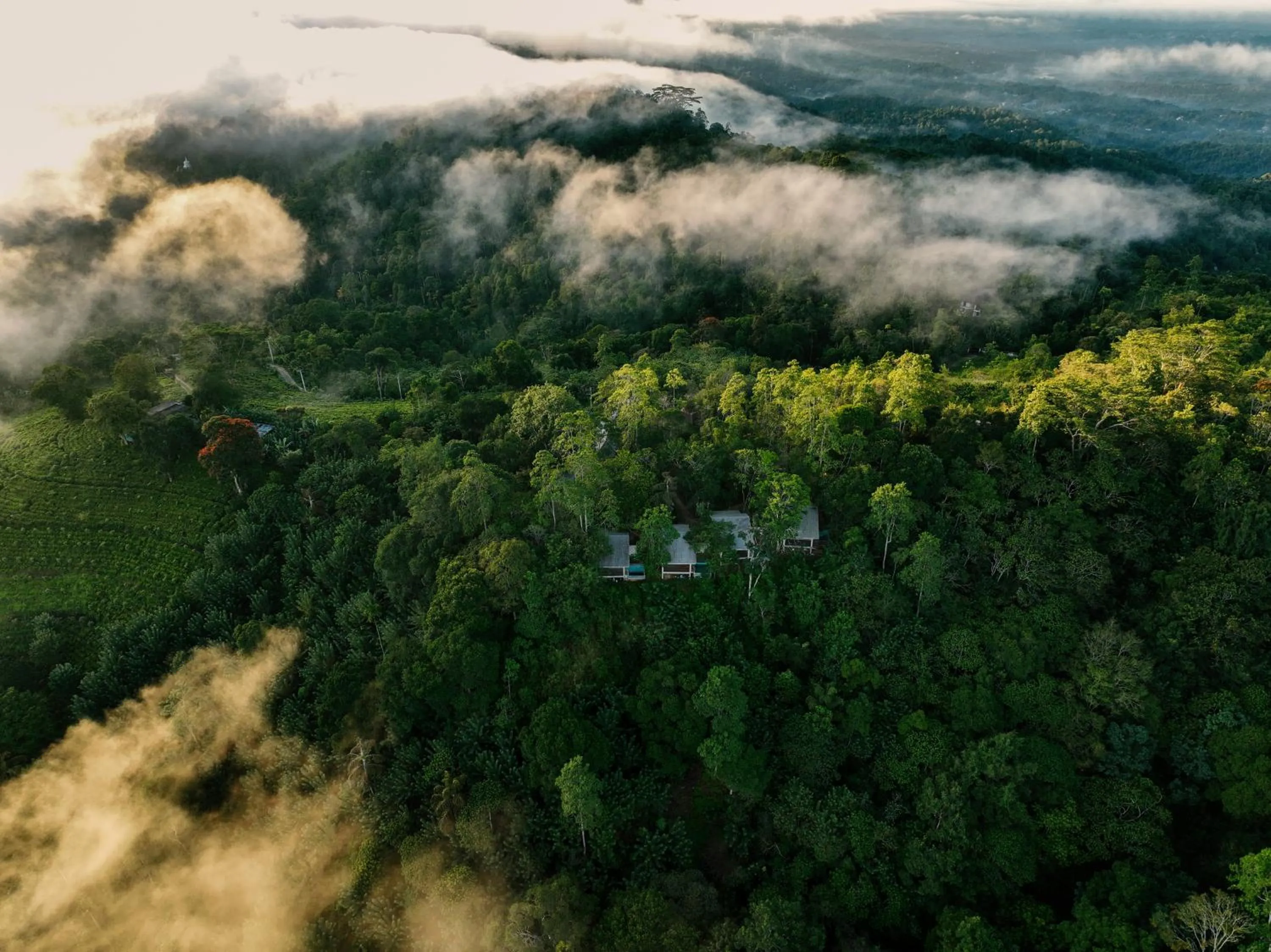 Natural landscape in Celestial Hills - Villas & Suites by The Clarks