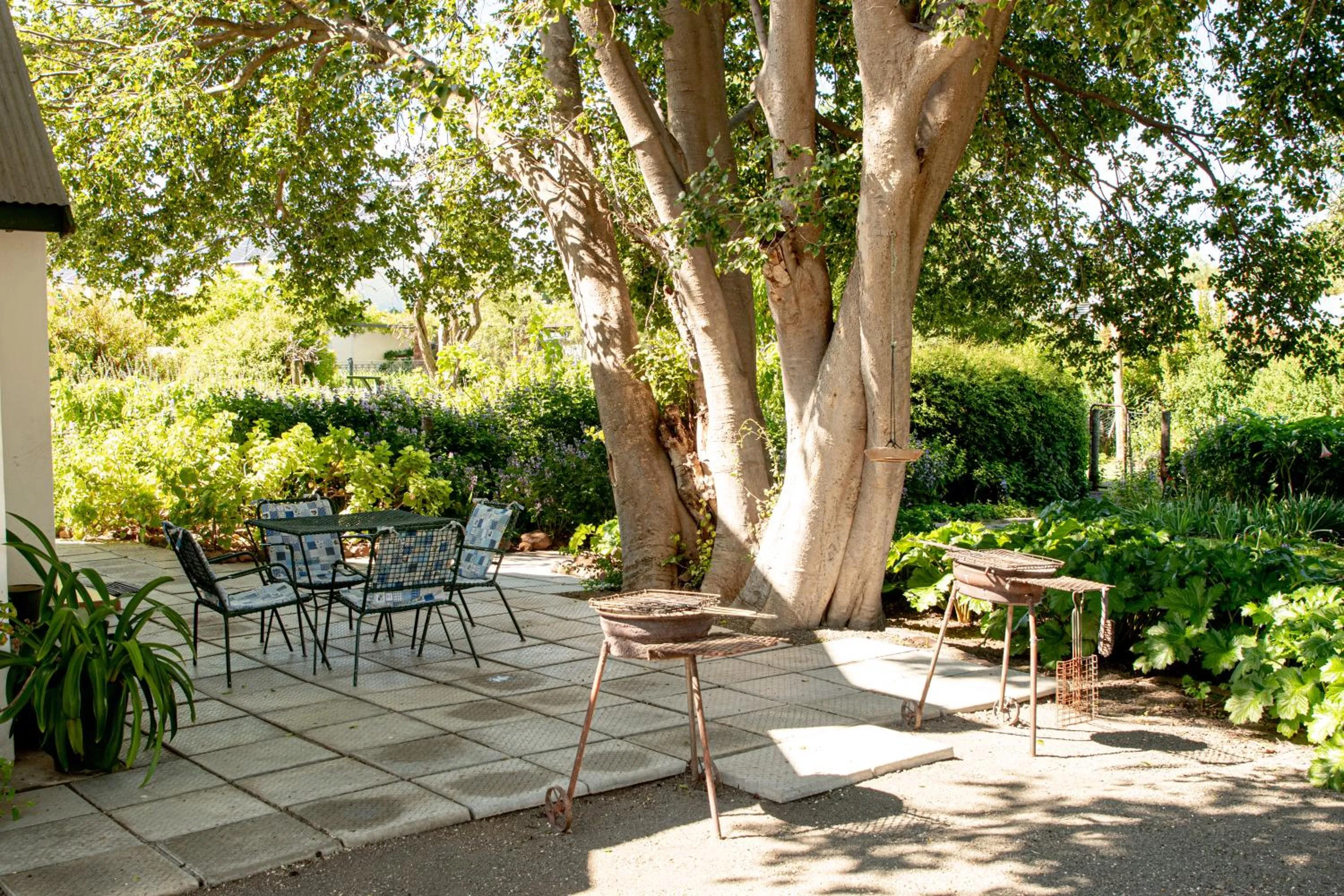 Garden view in 4 Rothman Street B&B