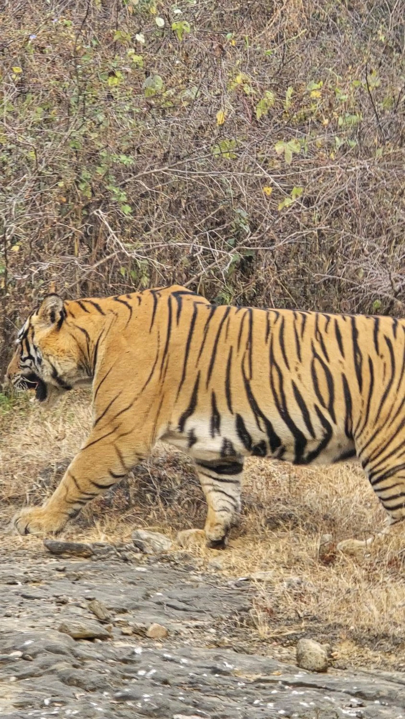 Seating area in The Vanashv