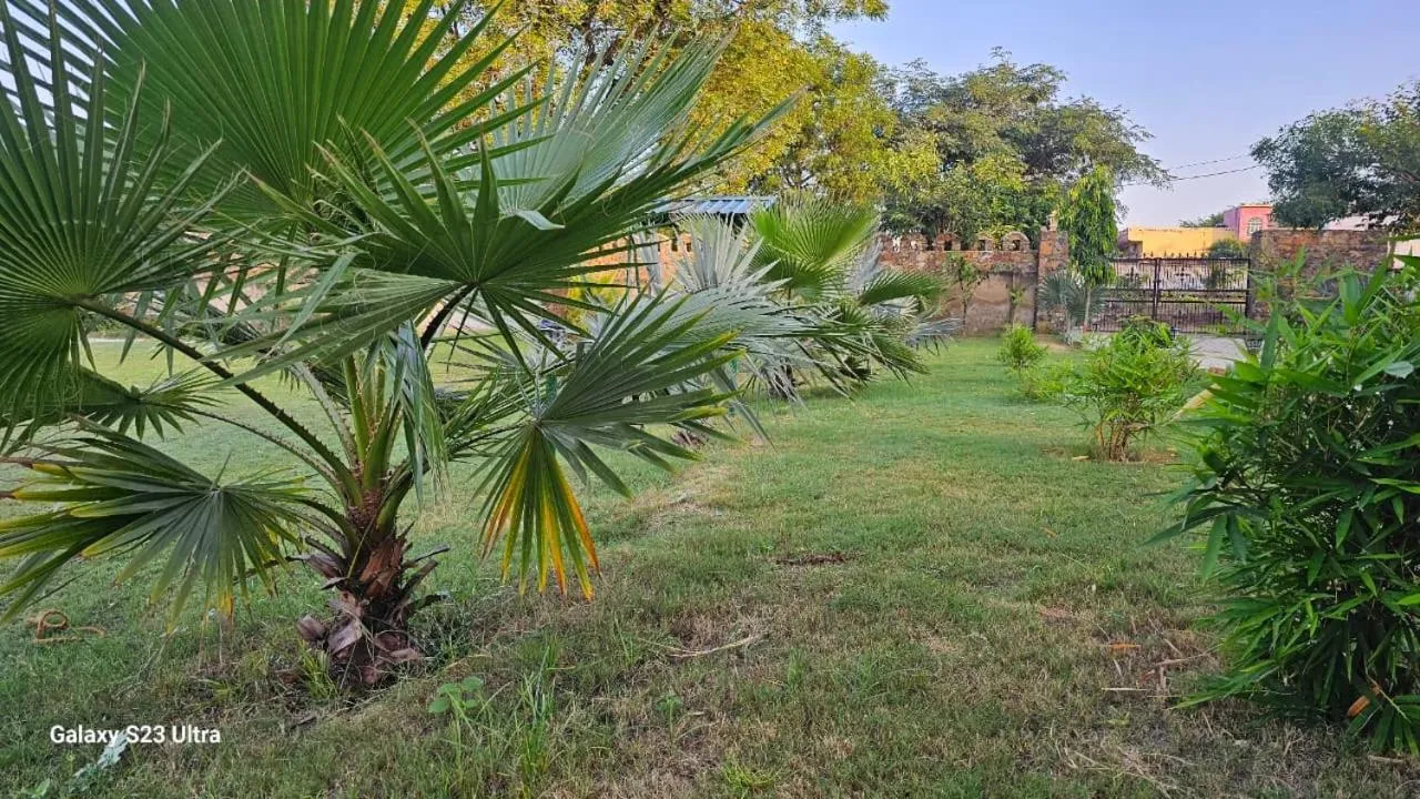 Property building in The Vanashv