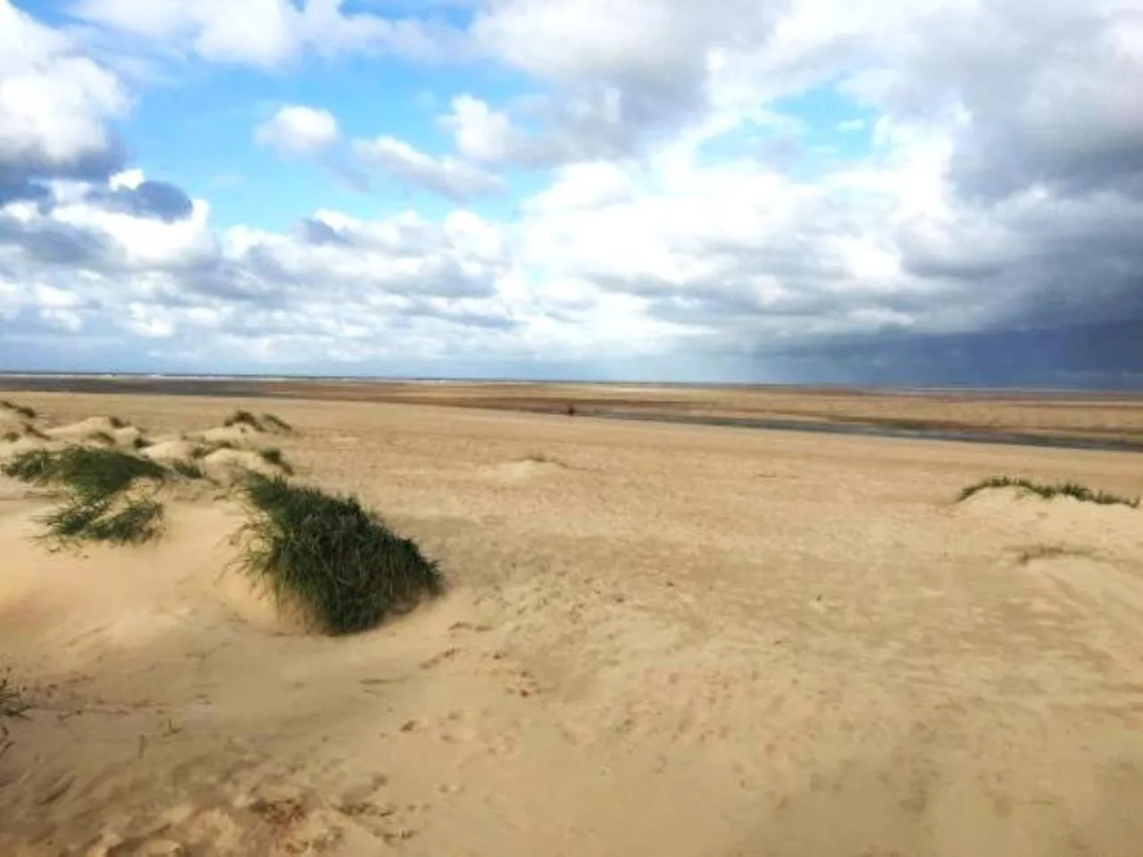 Beach in The Kensington