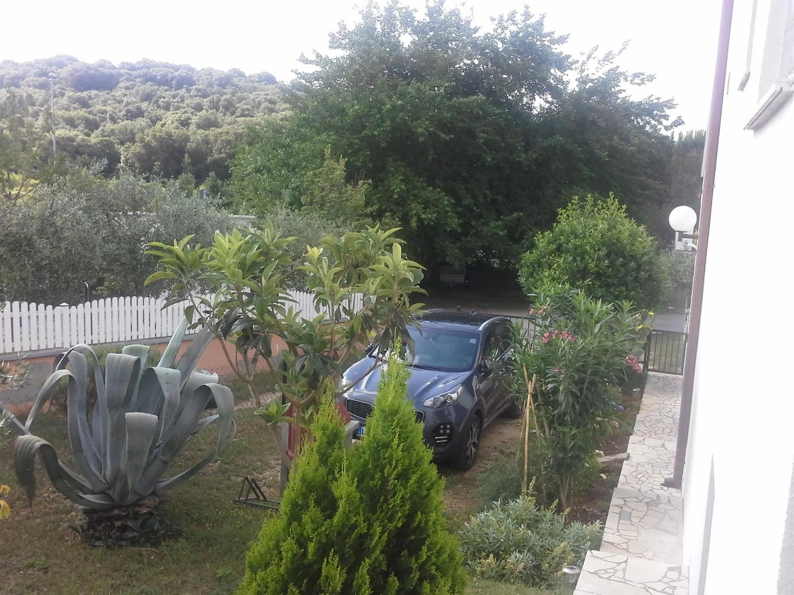 Garden in Apartments Liliana Pula