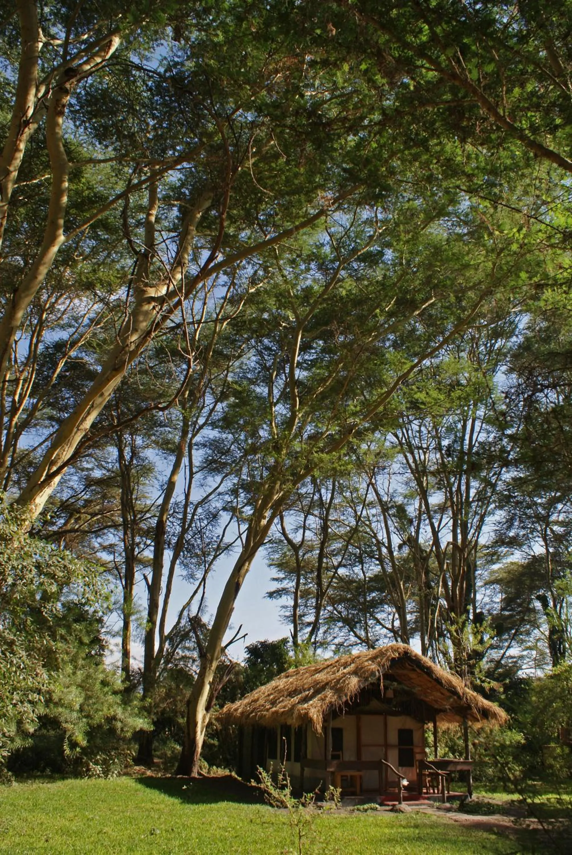 Migunga Tented Camp