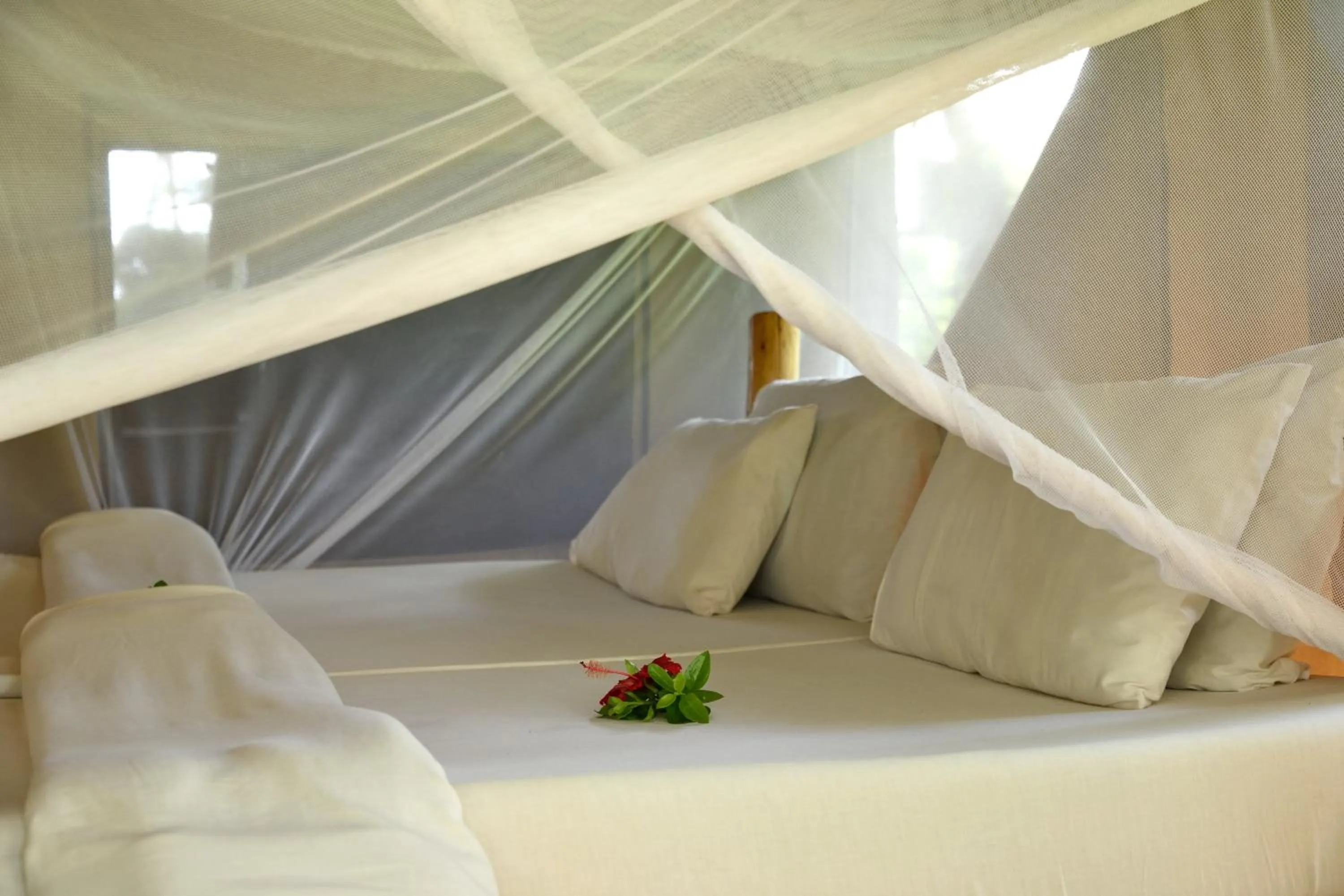 Bed in Migunga Tented Camp