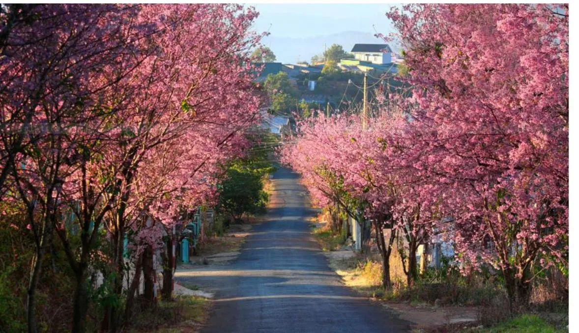 Natural landscape in NA NI