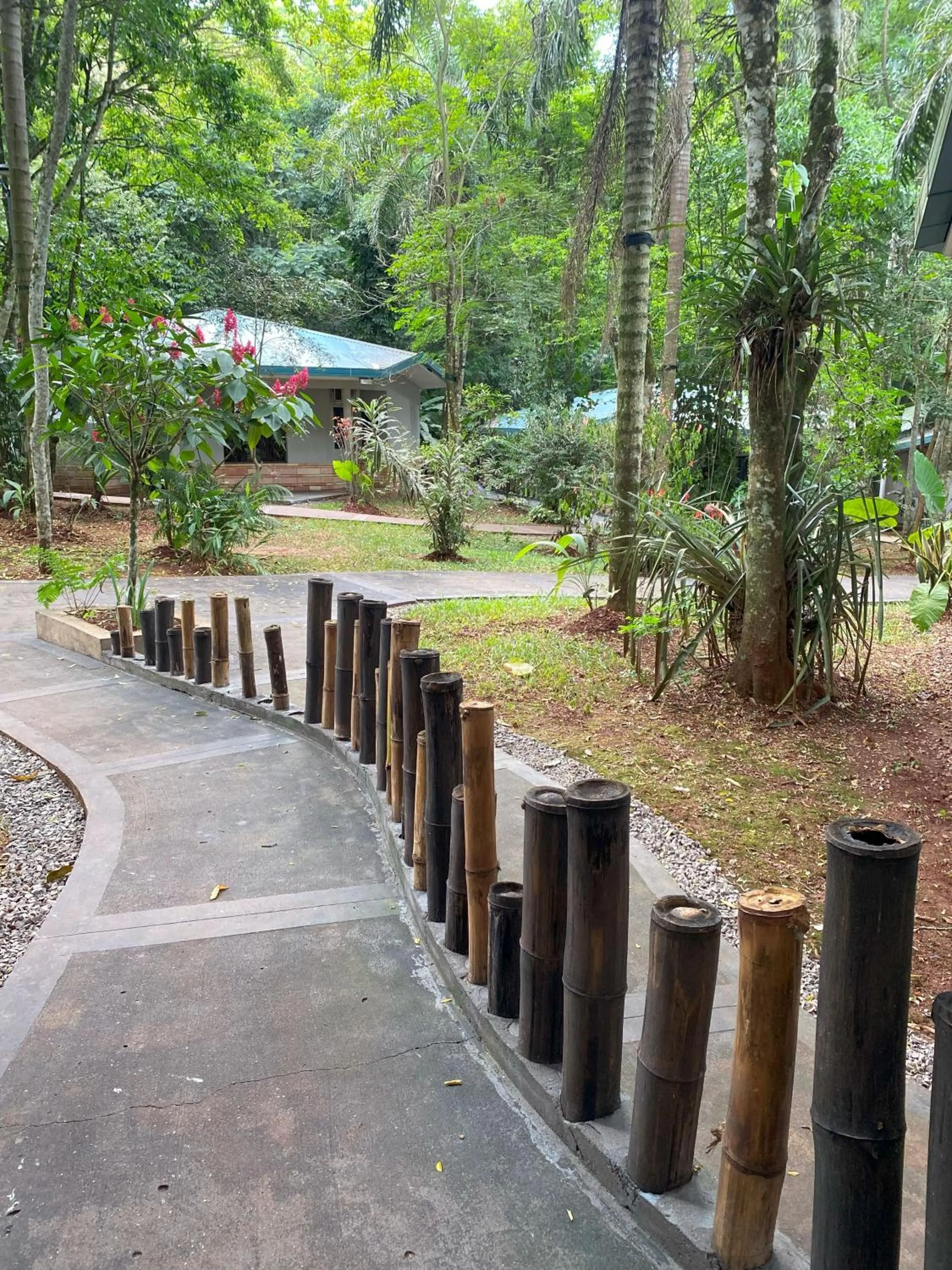 Off site in Bagu ÑAMANDU GUAZU