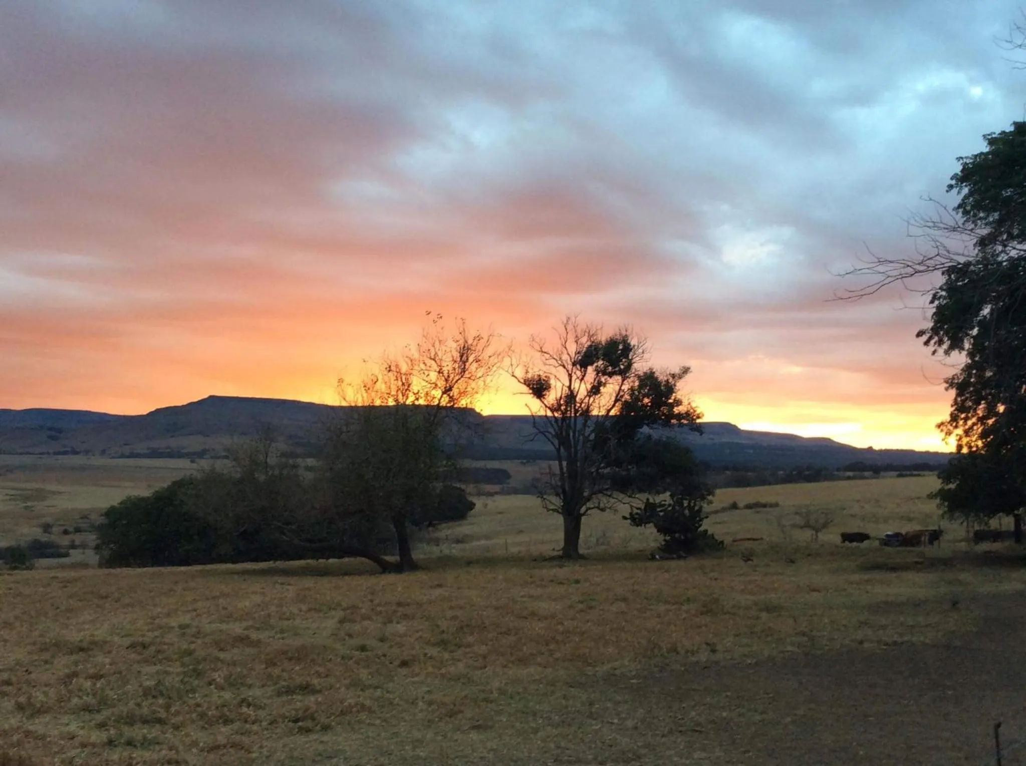 Mountain view in Petra's Country Guesthouse