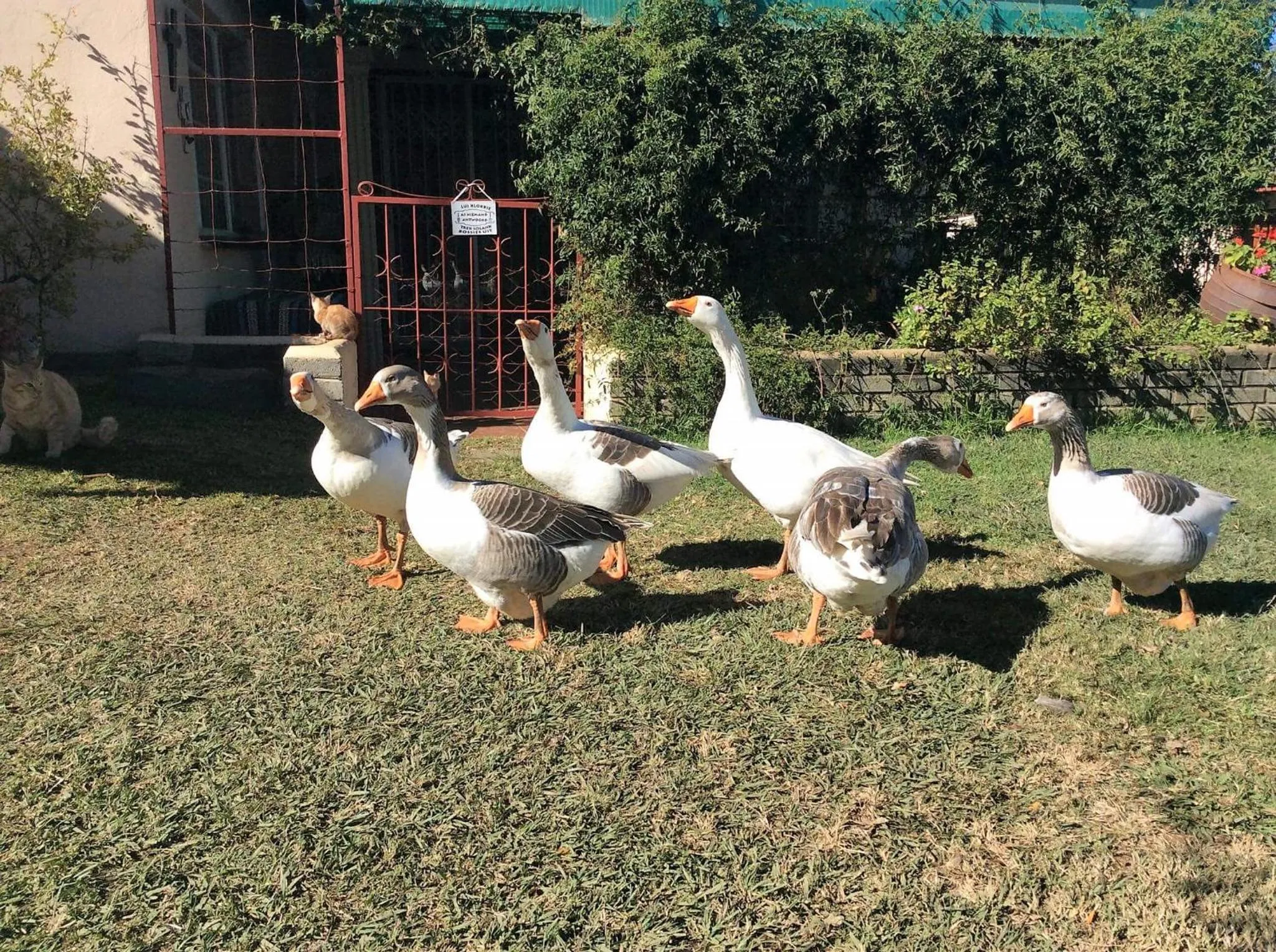 Garden in Petra's Country Guesthouse