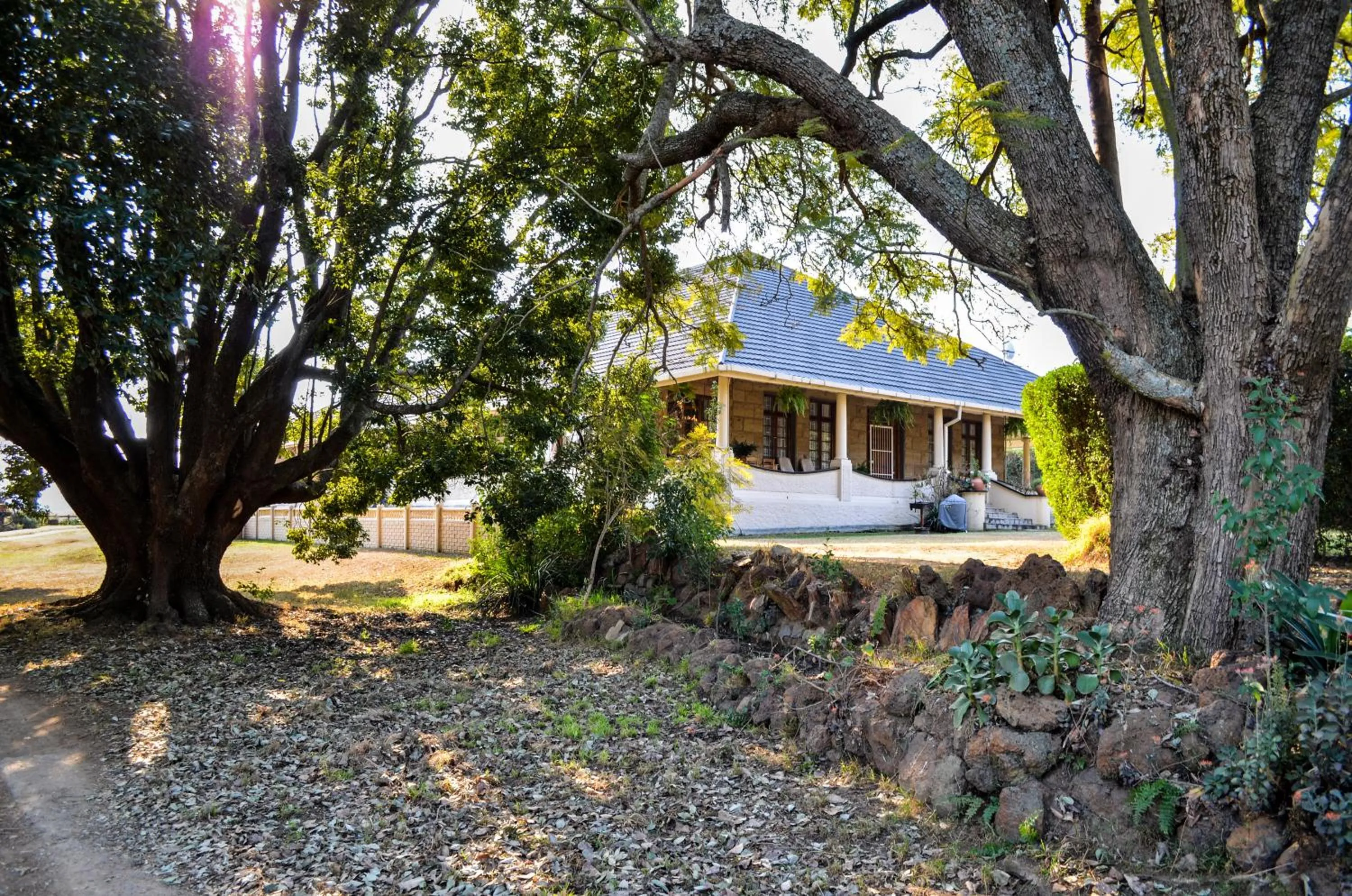 Garden in Petra's Country Guesthouse