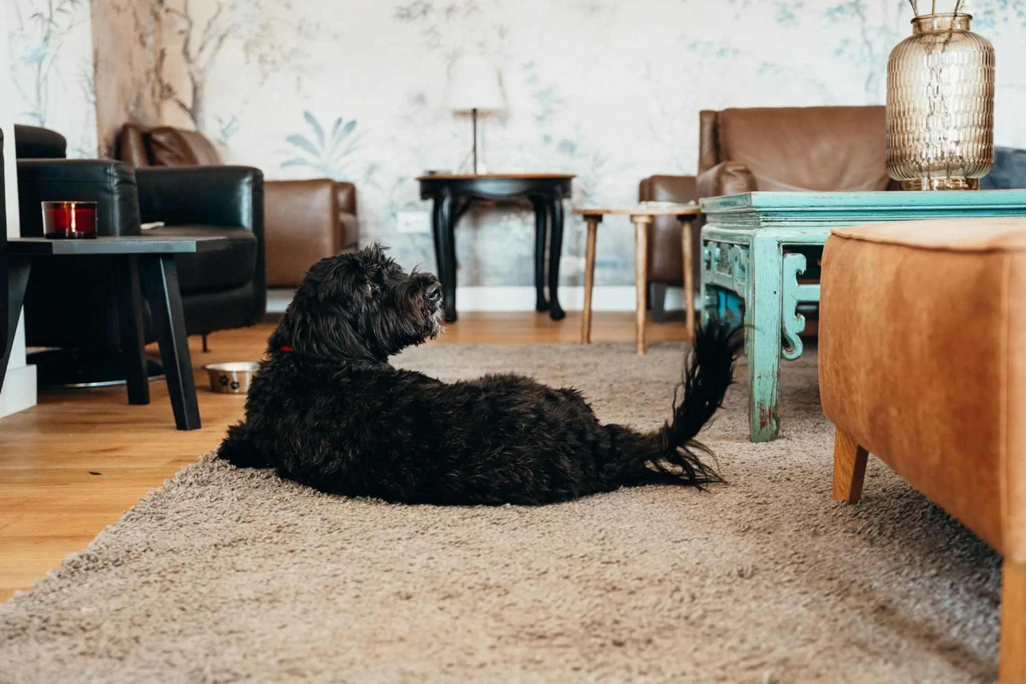 Staff in Adriana Zaton