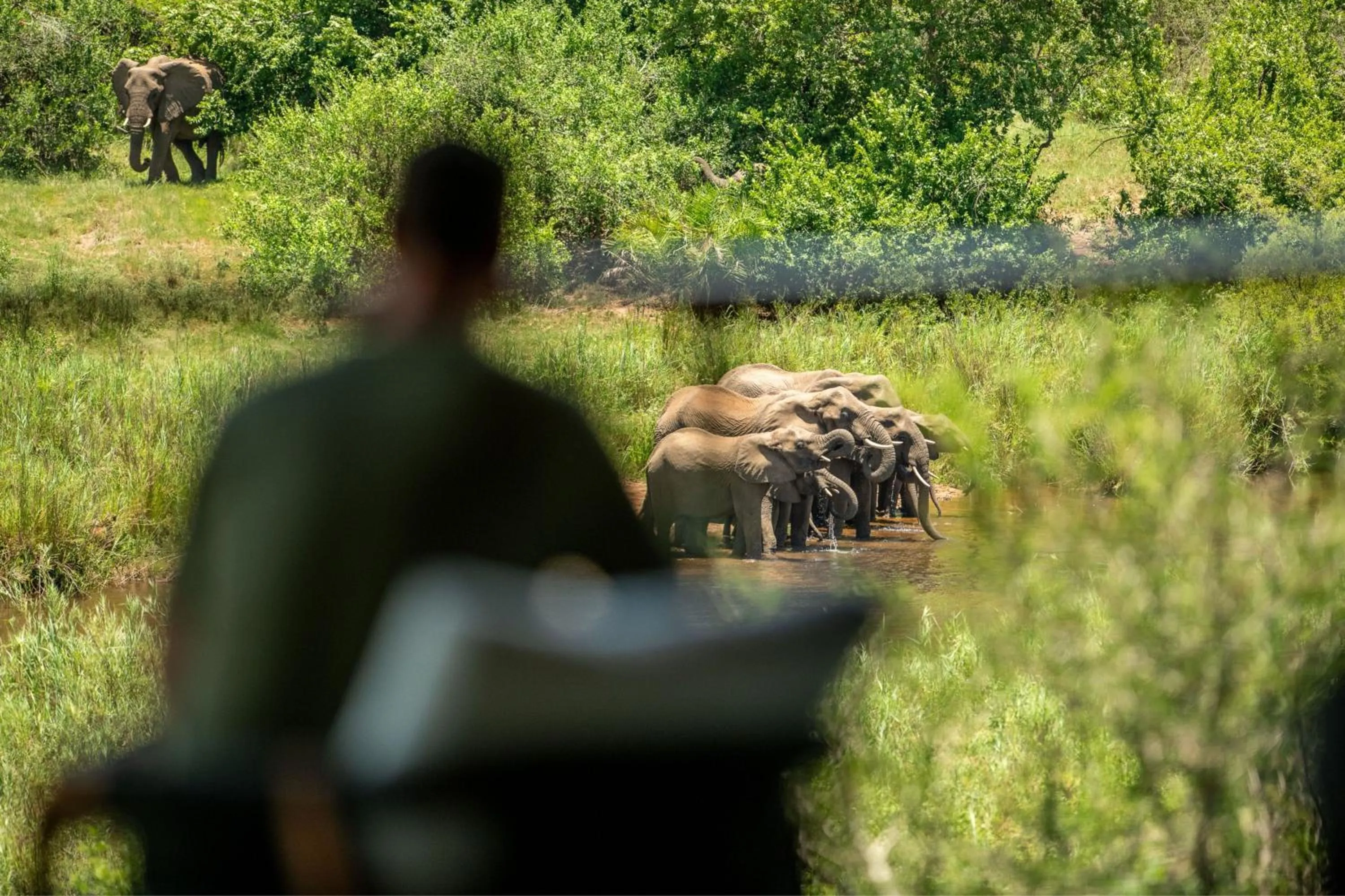 Restaurant/places to eat in Leopard Sands Kruger Park