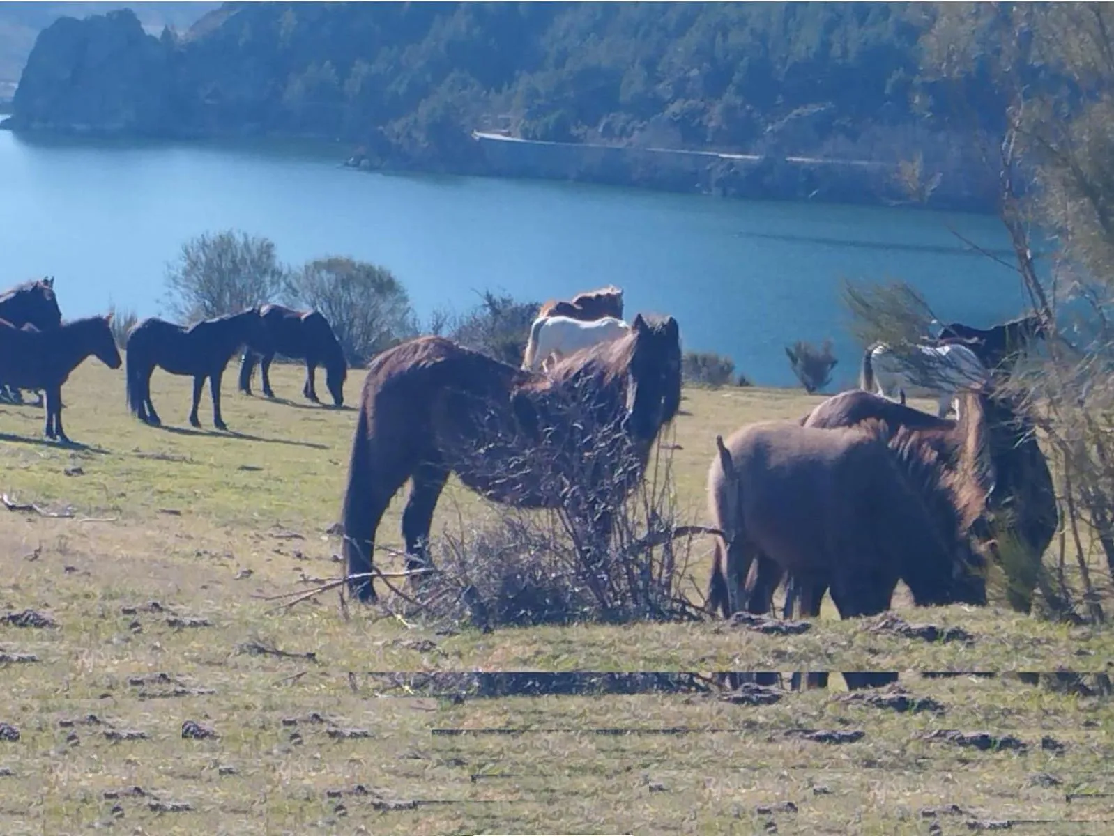 Photo of the whole room in Hotel Pico Espiguete