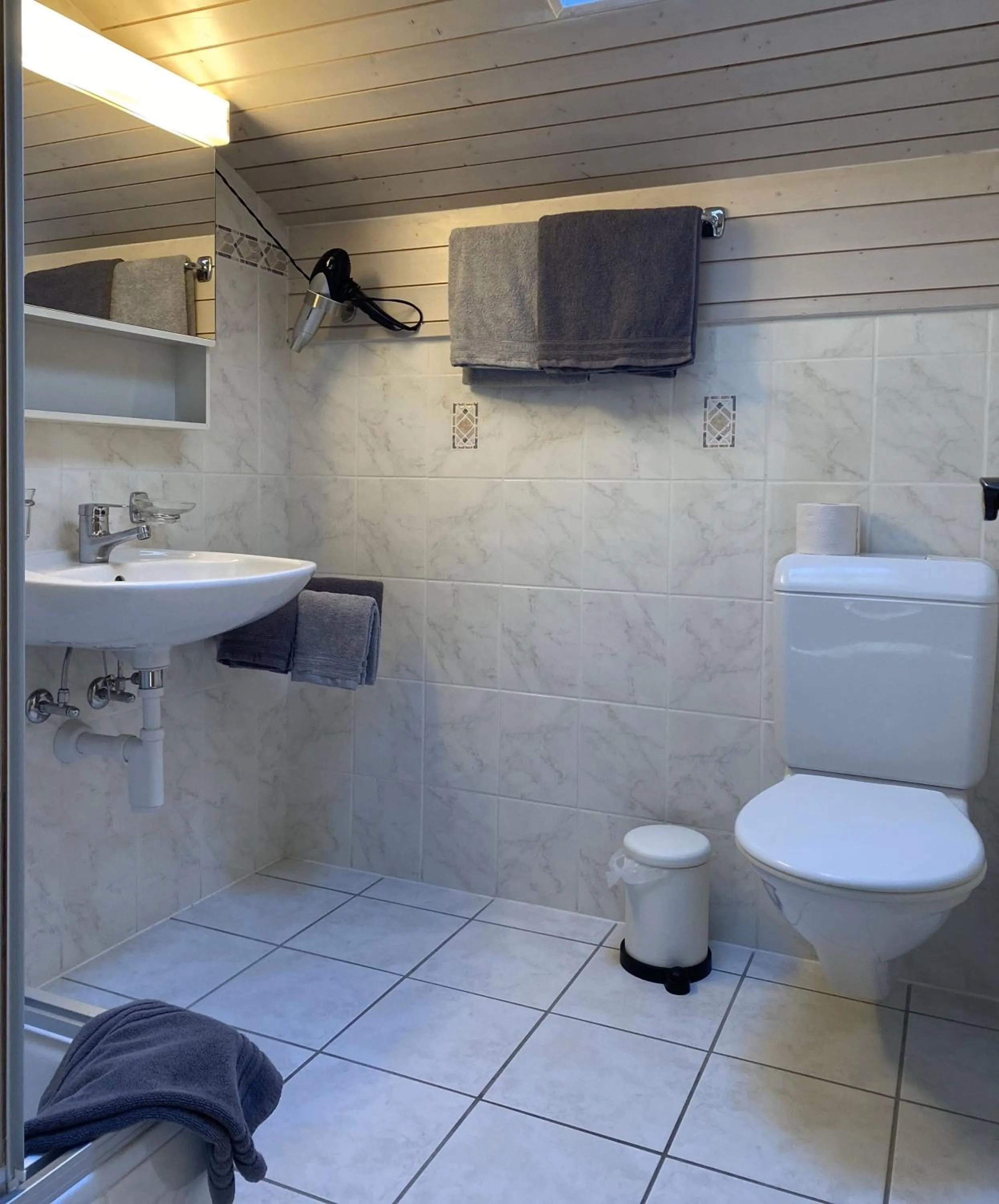 Shower in Apartments Arcadia