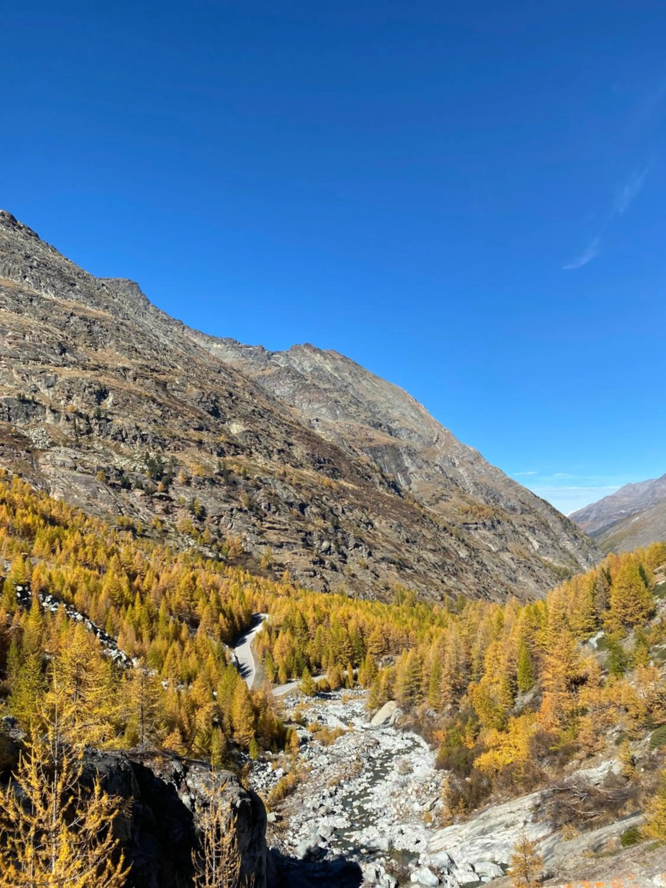 Natural landscape in Apartments Arcadia
