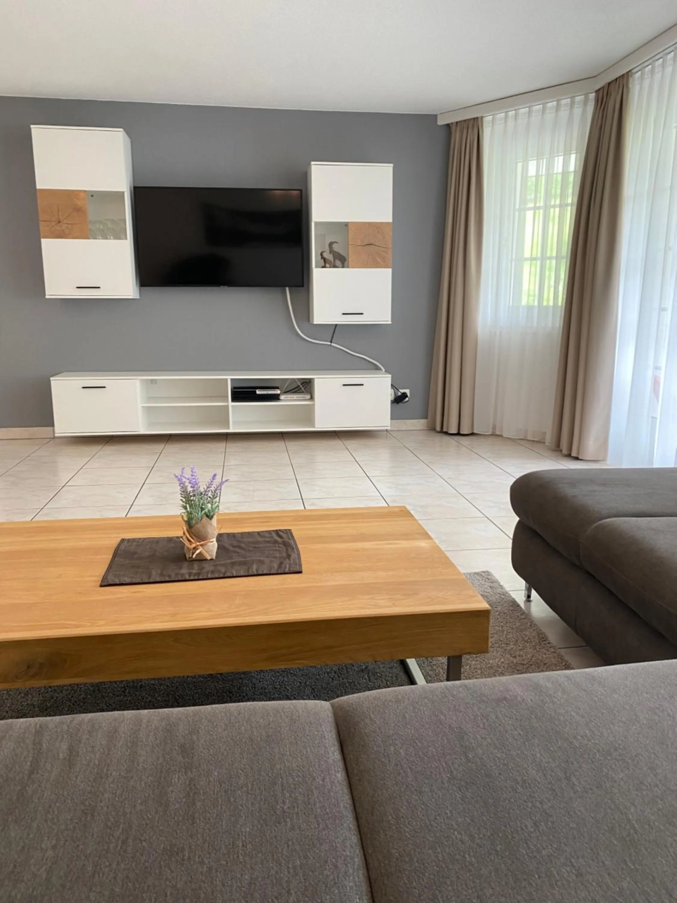 TV and multimedia in Apartments Arcadia