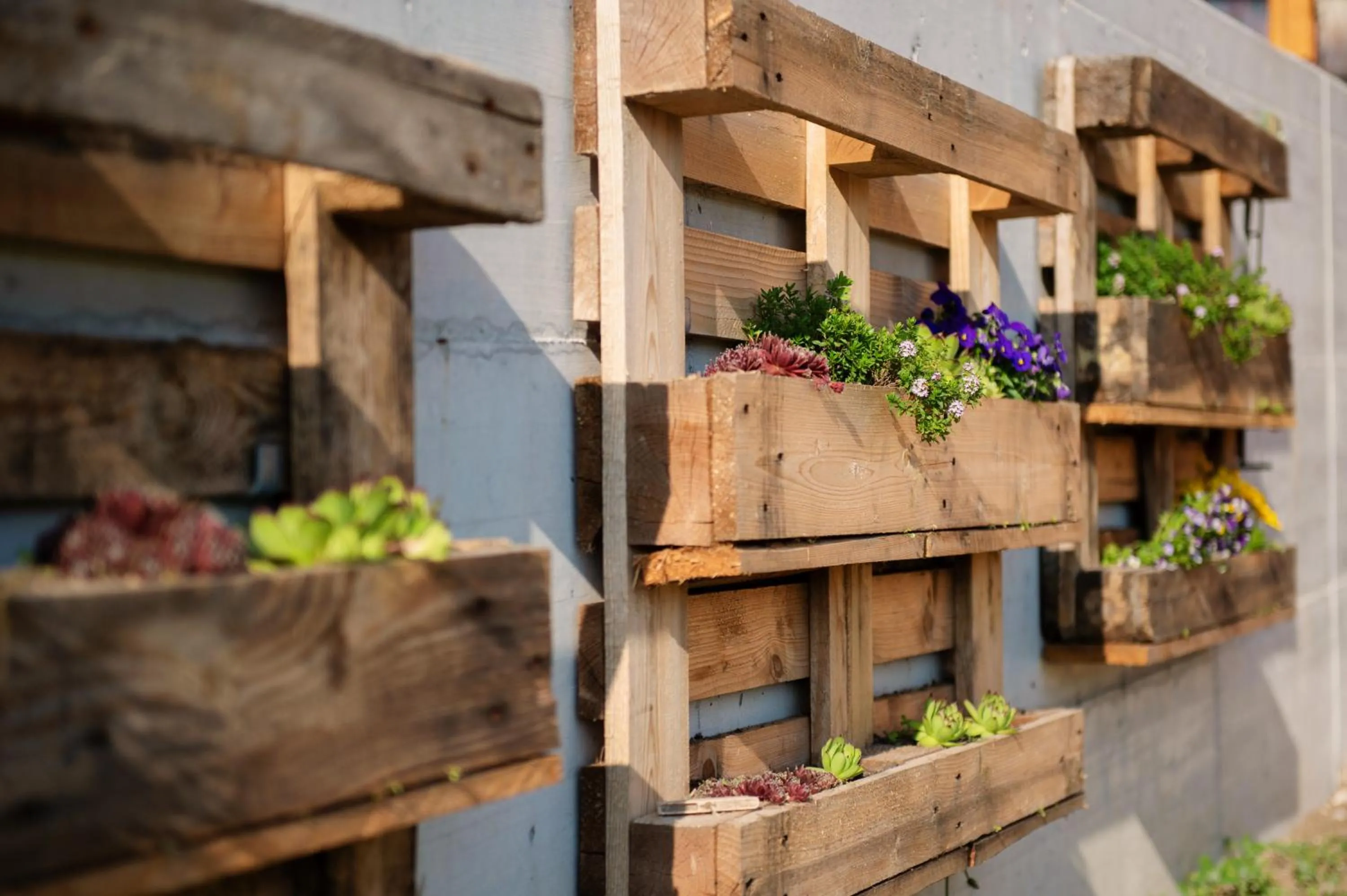 Garden in Apartment Bon