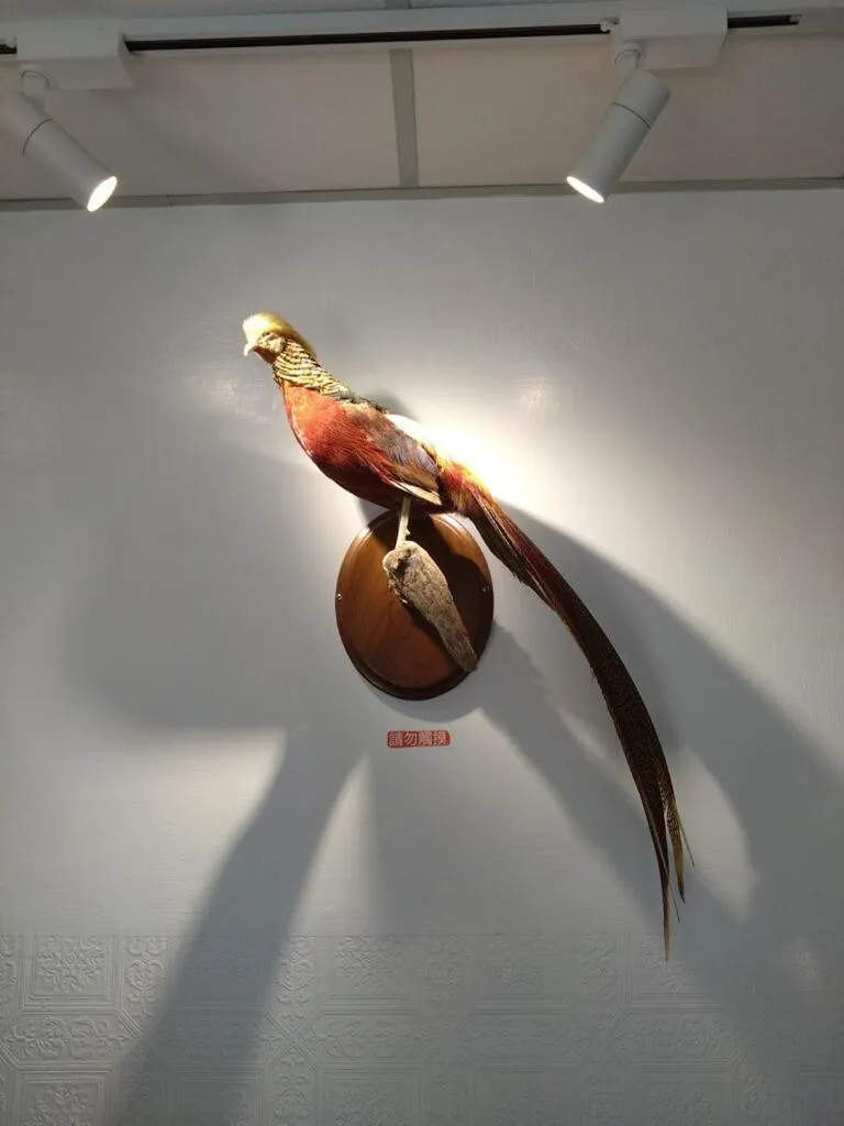 Decorative detail in Jinhua Cold Spring Hotel