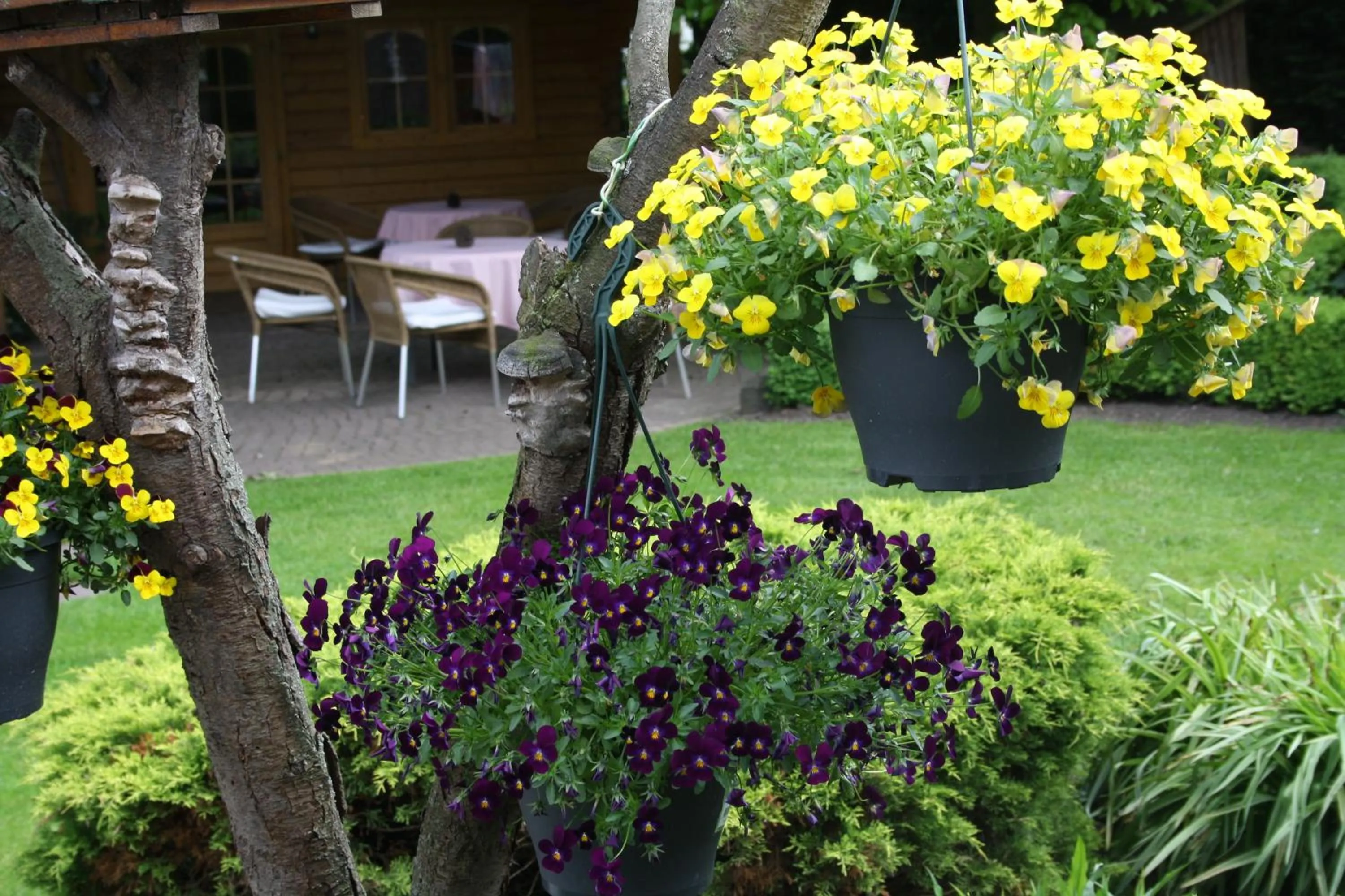 Decorative detail in Motel Koolen