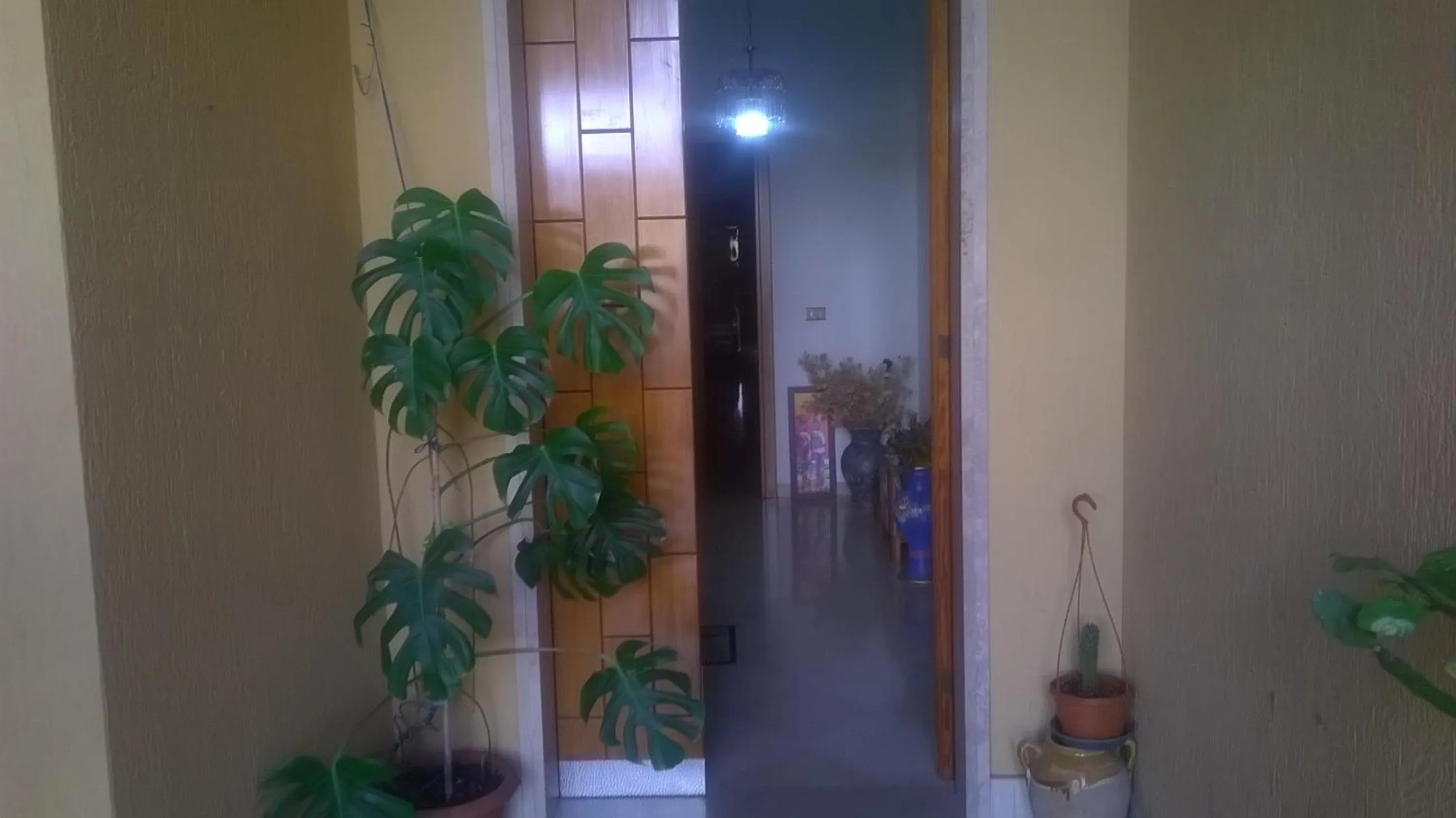 View (from property/room) in B&BGalatina1 CIS