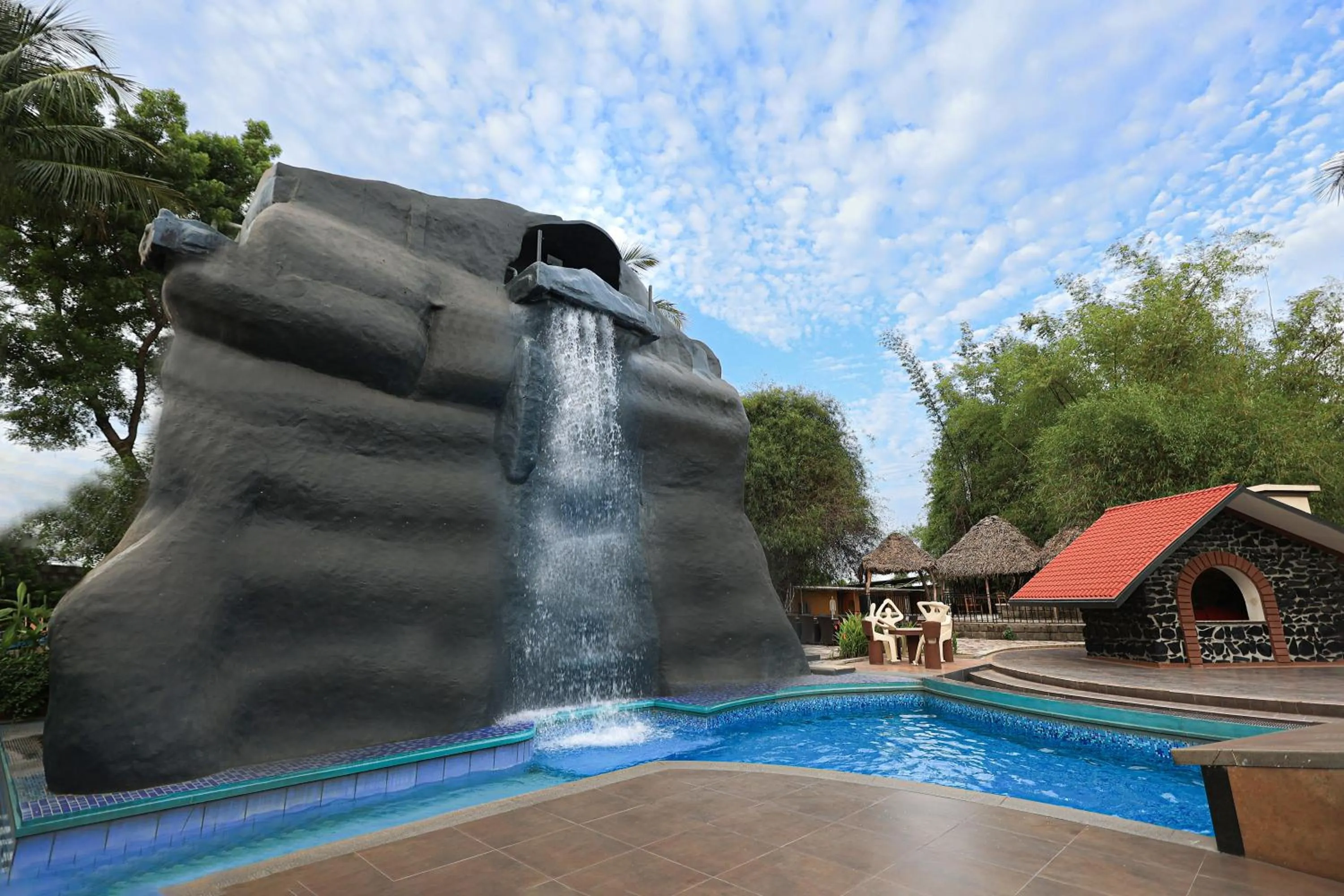 Natural landscape, Swimming Pool in Hudson Hotels